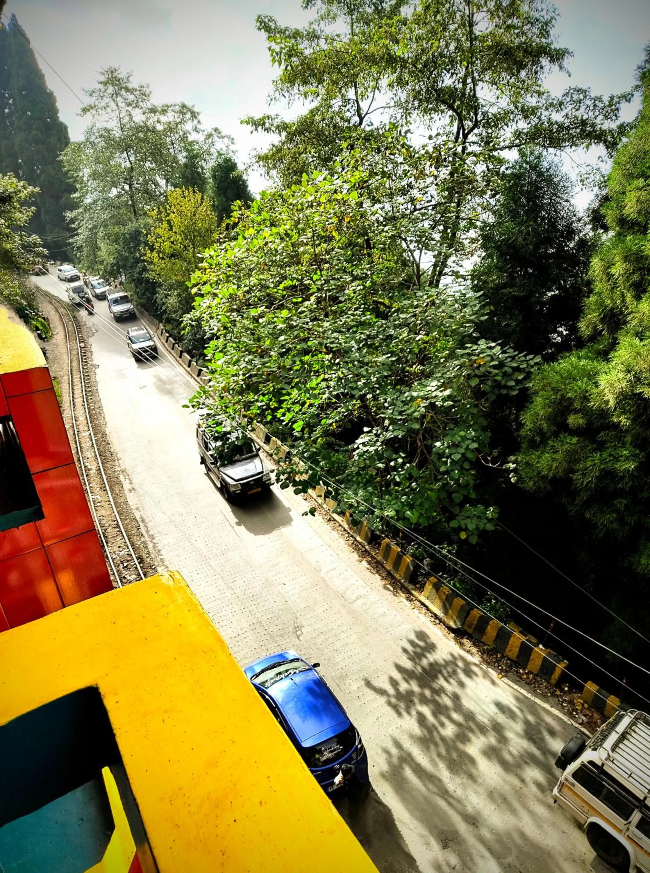 Neighbourhood in Hidden Monkey Stays Darjeeling, Batasia