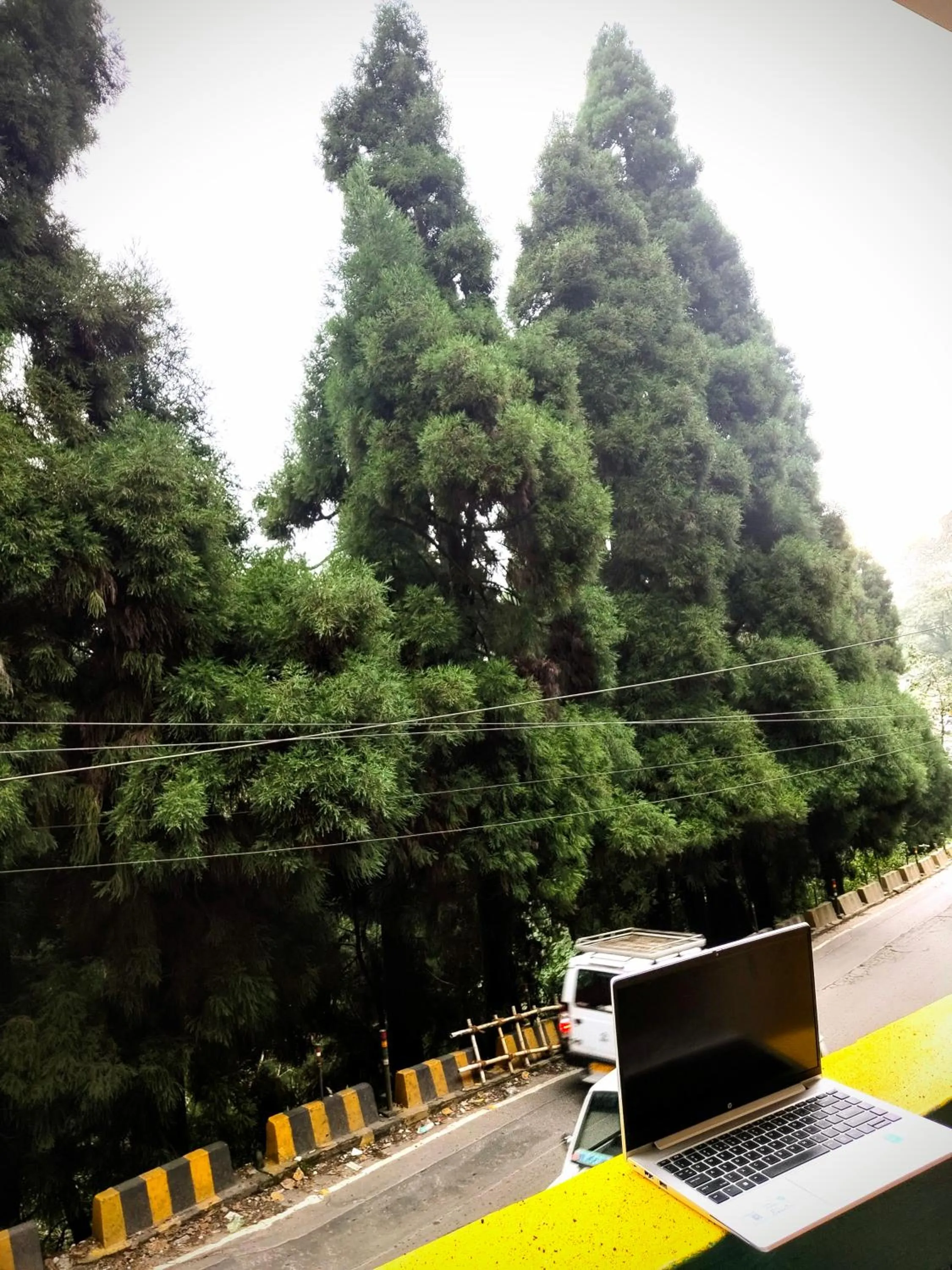 Day in Hidden Monkey Stays Darjeeling, Batasia