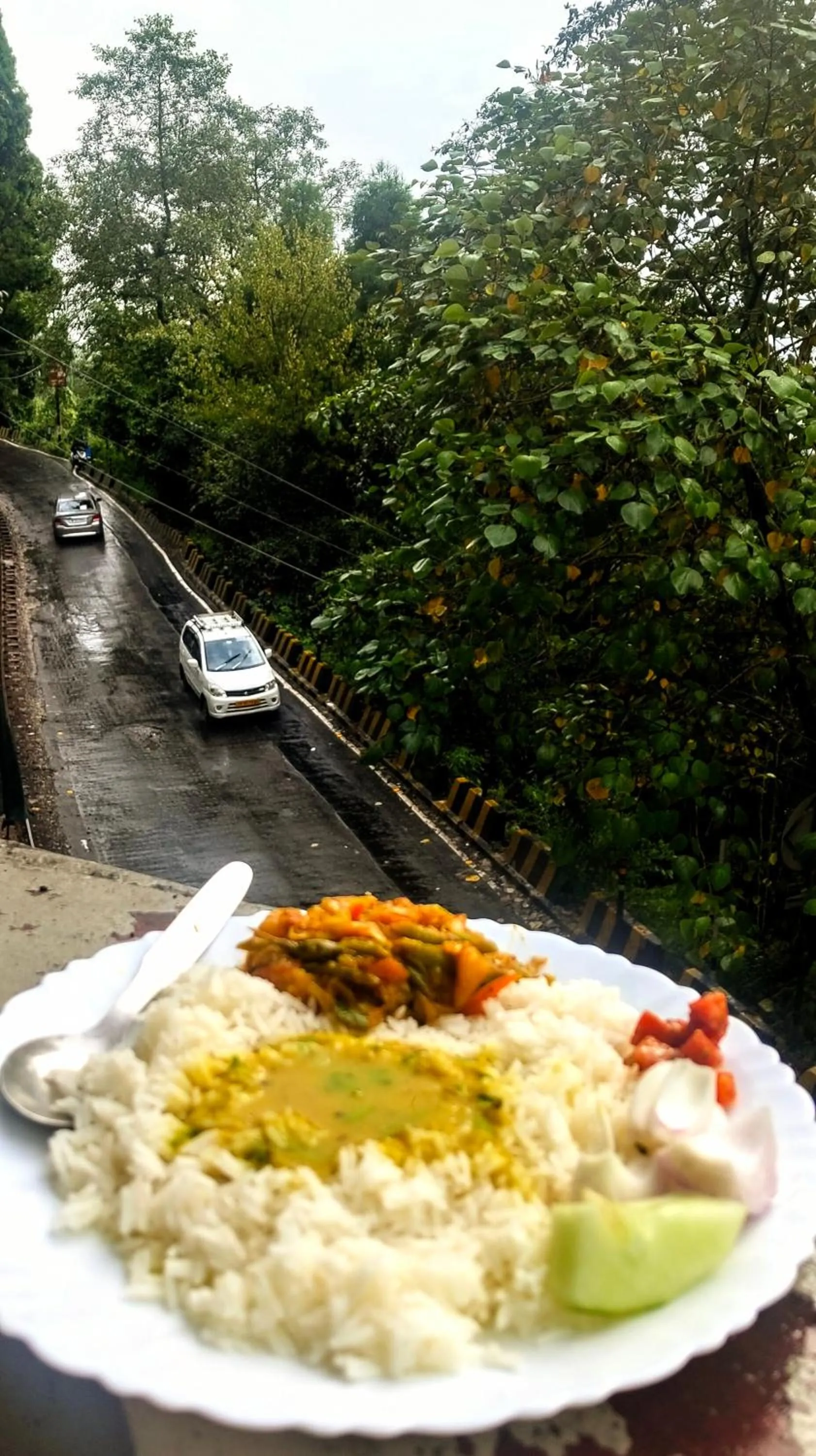 View (from property/room) in Hidden Monkey Stays Darjeeling, Batasia