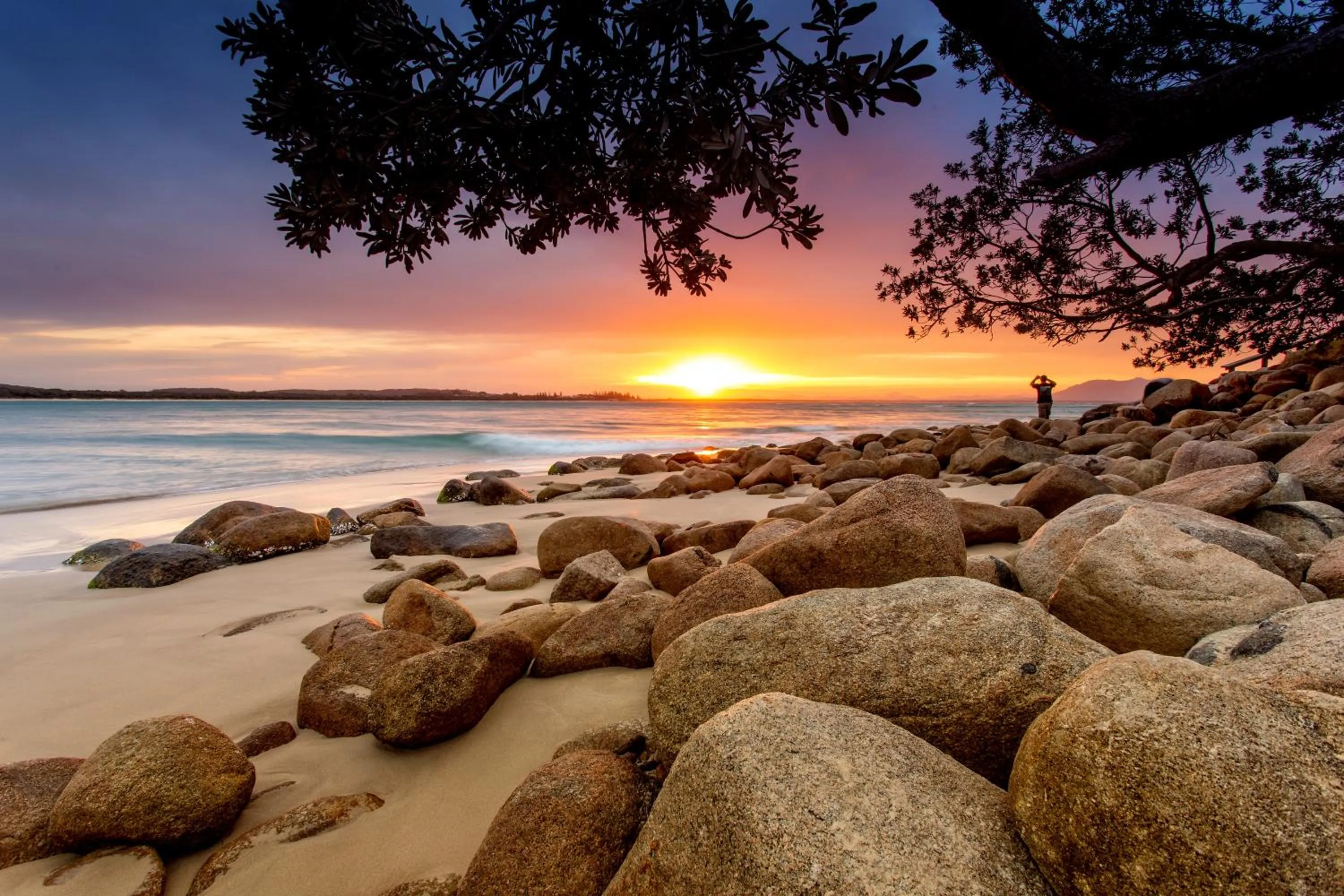 Natural landscape in NRMA South West Rocks Holiday Park