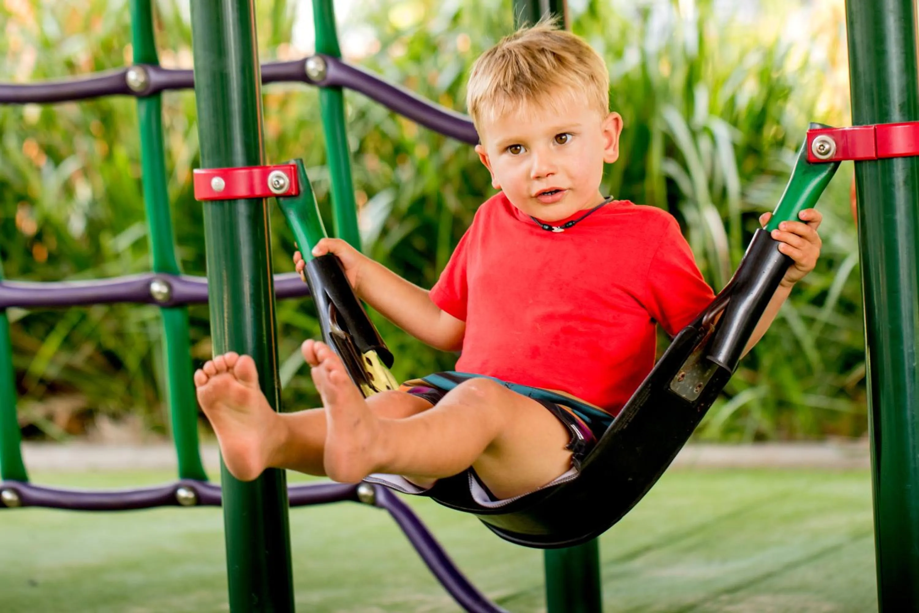 Area and facilities in NRMA South West Rocks Holiday Park