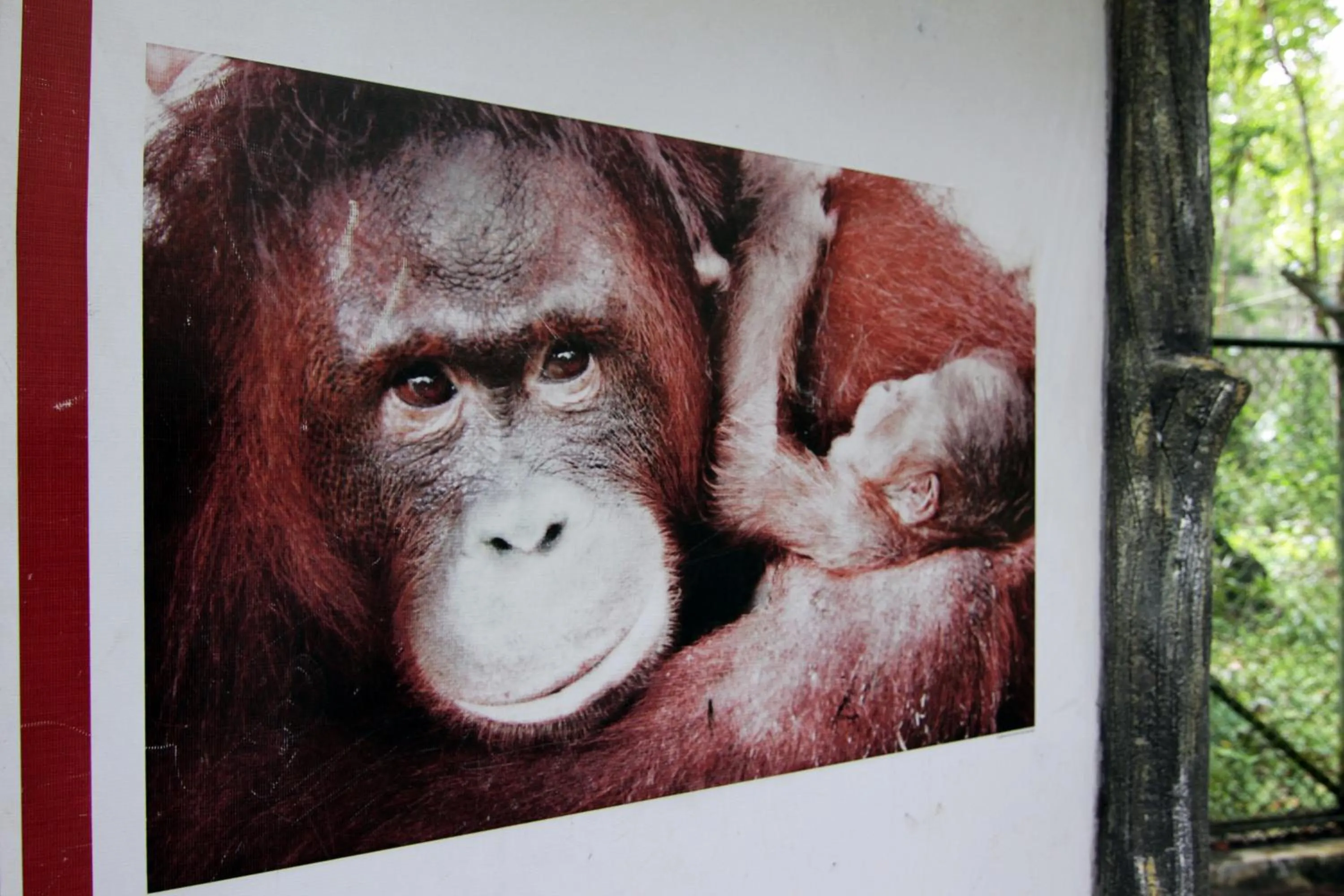 Decorative detail in Hotel Luwansa Palangkaraya