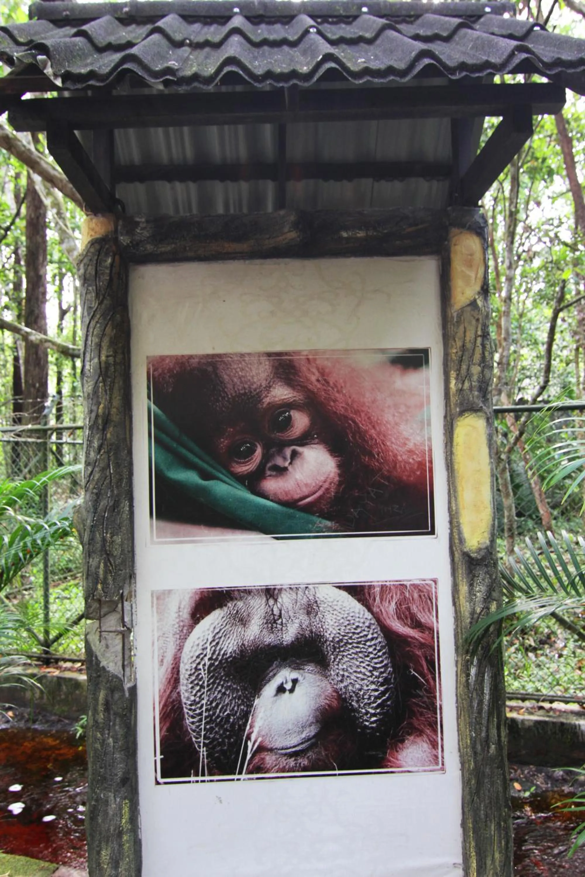 Decorative detail in Hotel Luwansa Palangkaraya