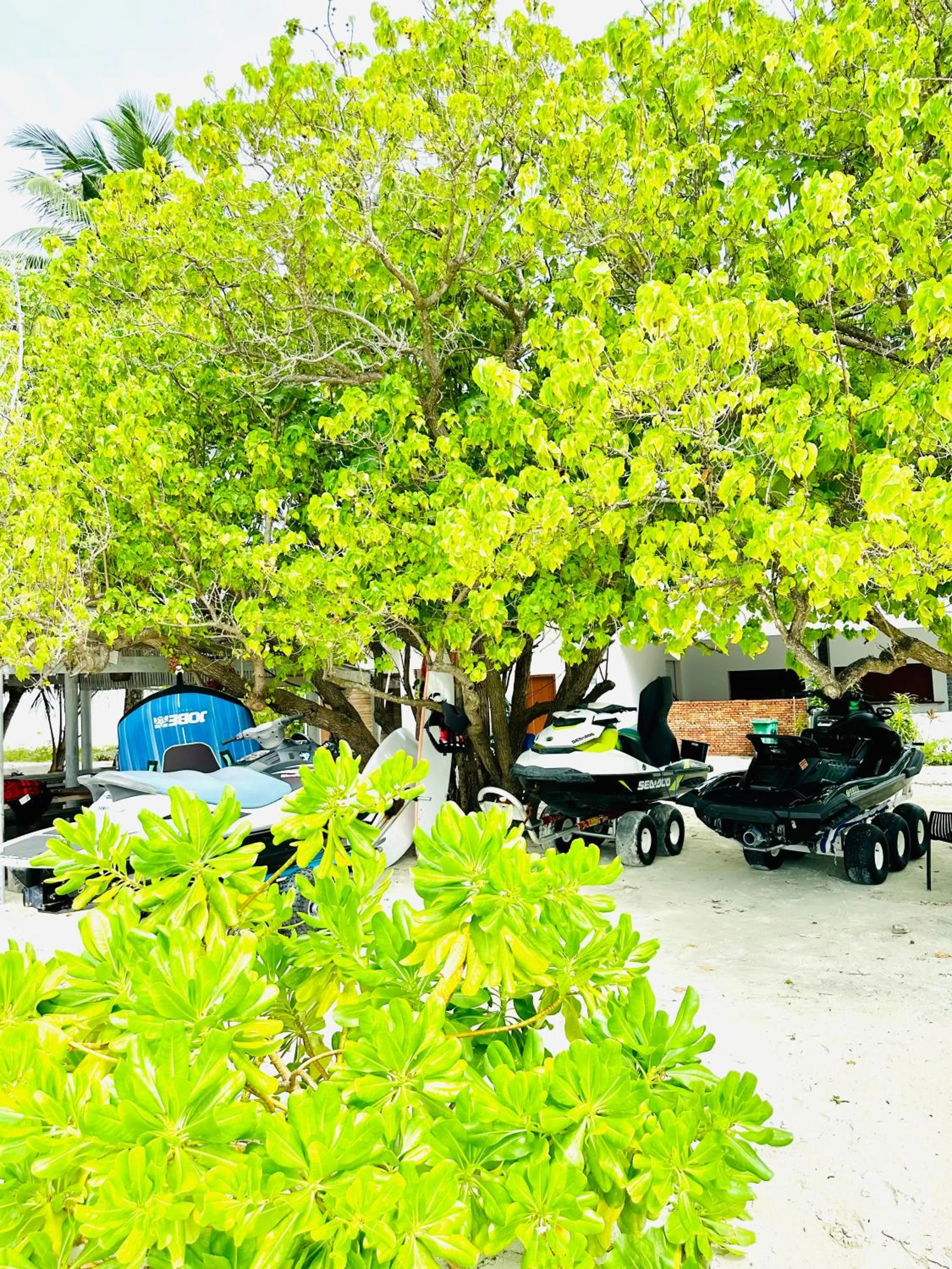 YUVi Blue Maldives & spa