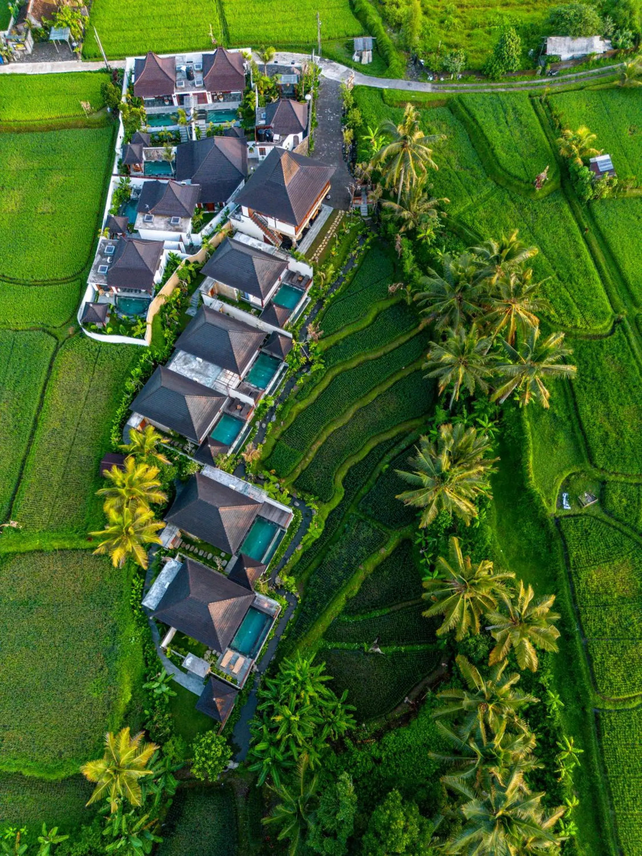 Dewi Kunti Villa Dewi Kunti Villa