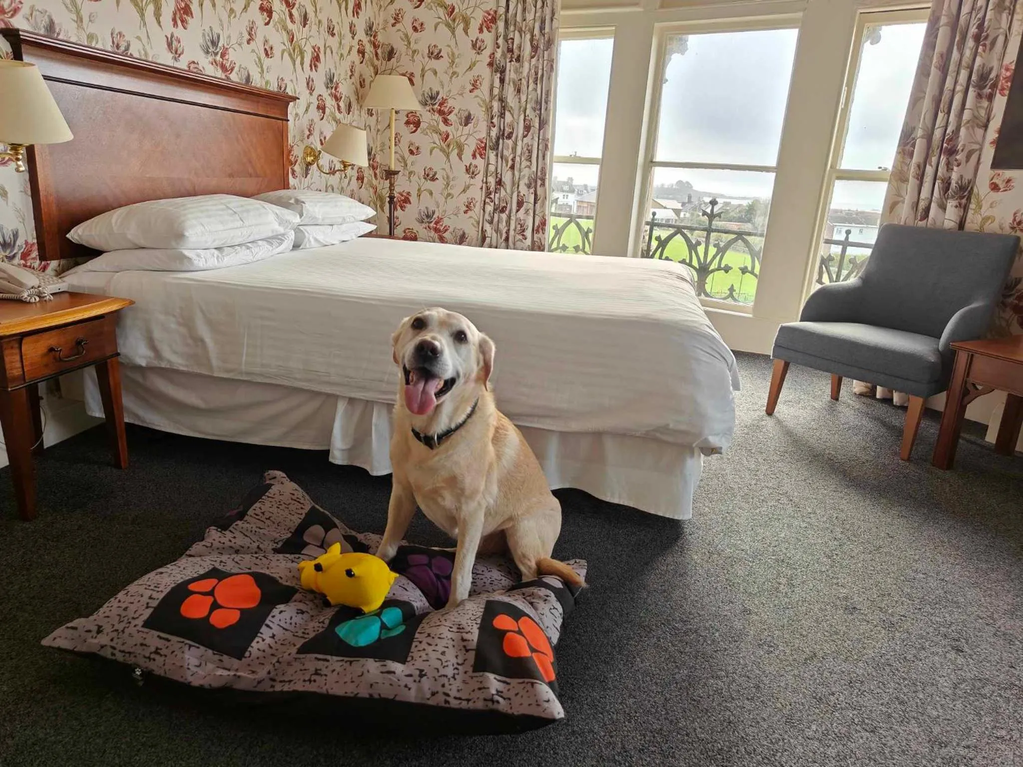 Pets, Bed in Duke Of Cornwall Hotel