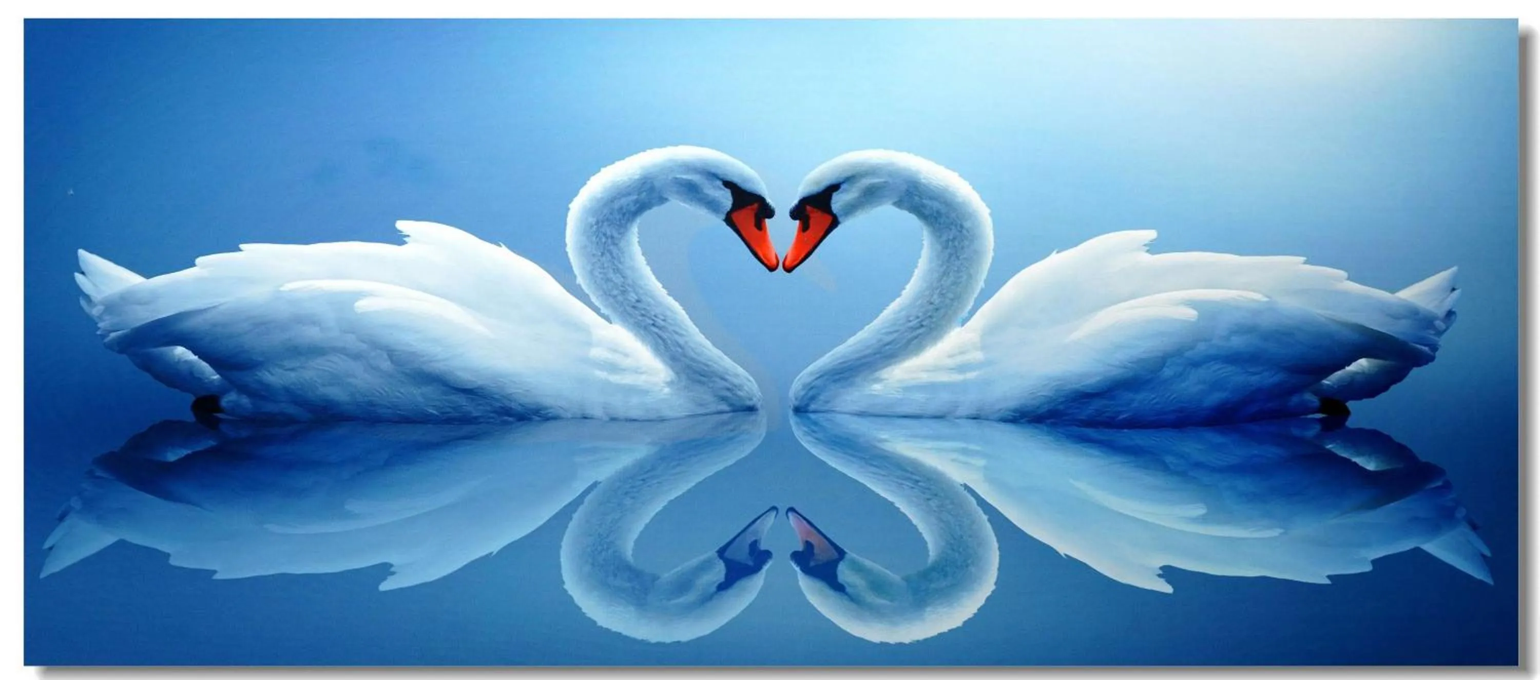 Decorative detail in Golden Seagulls Hotel