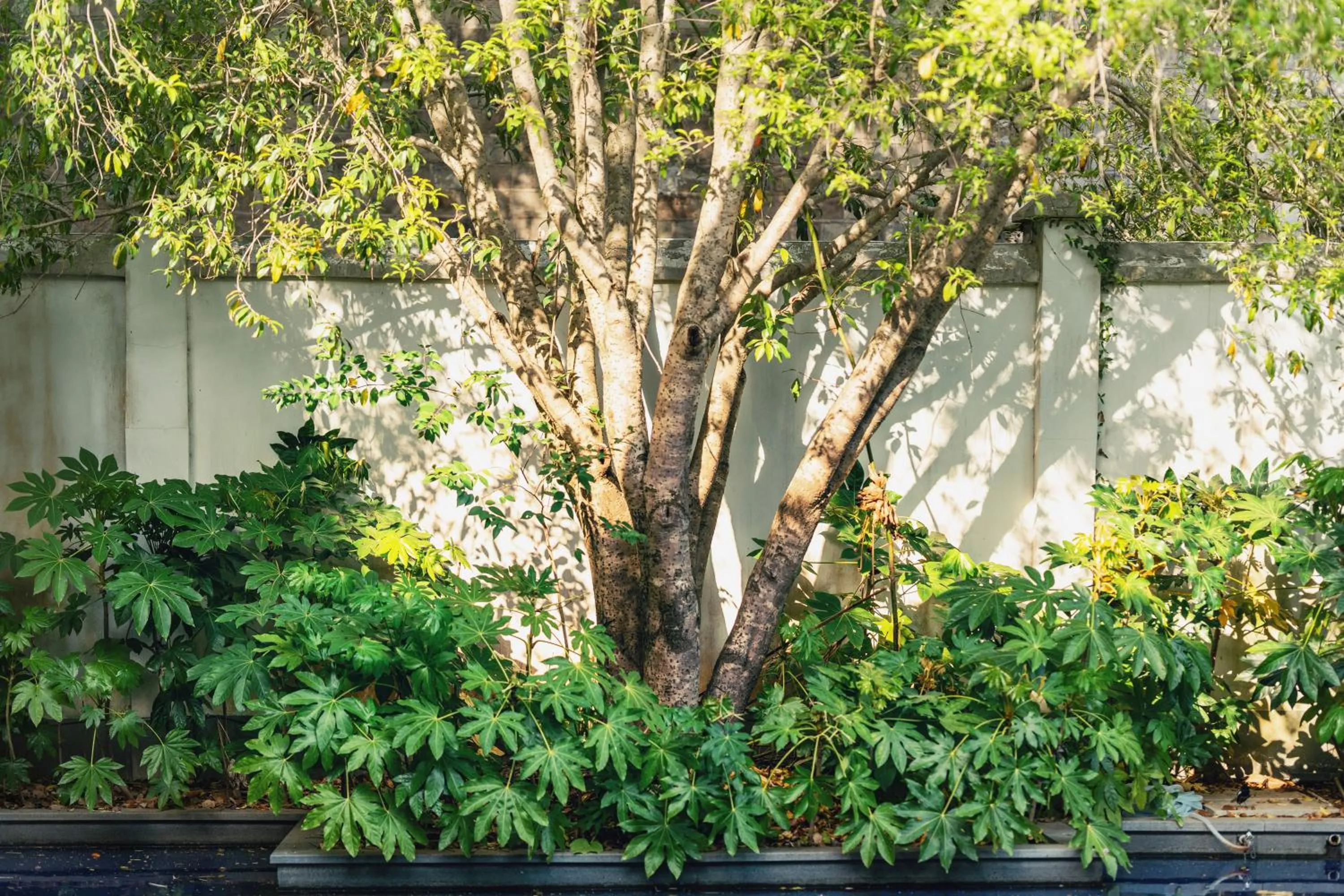 Spring in SSAW Garden Hotel Ningbo Xikou