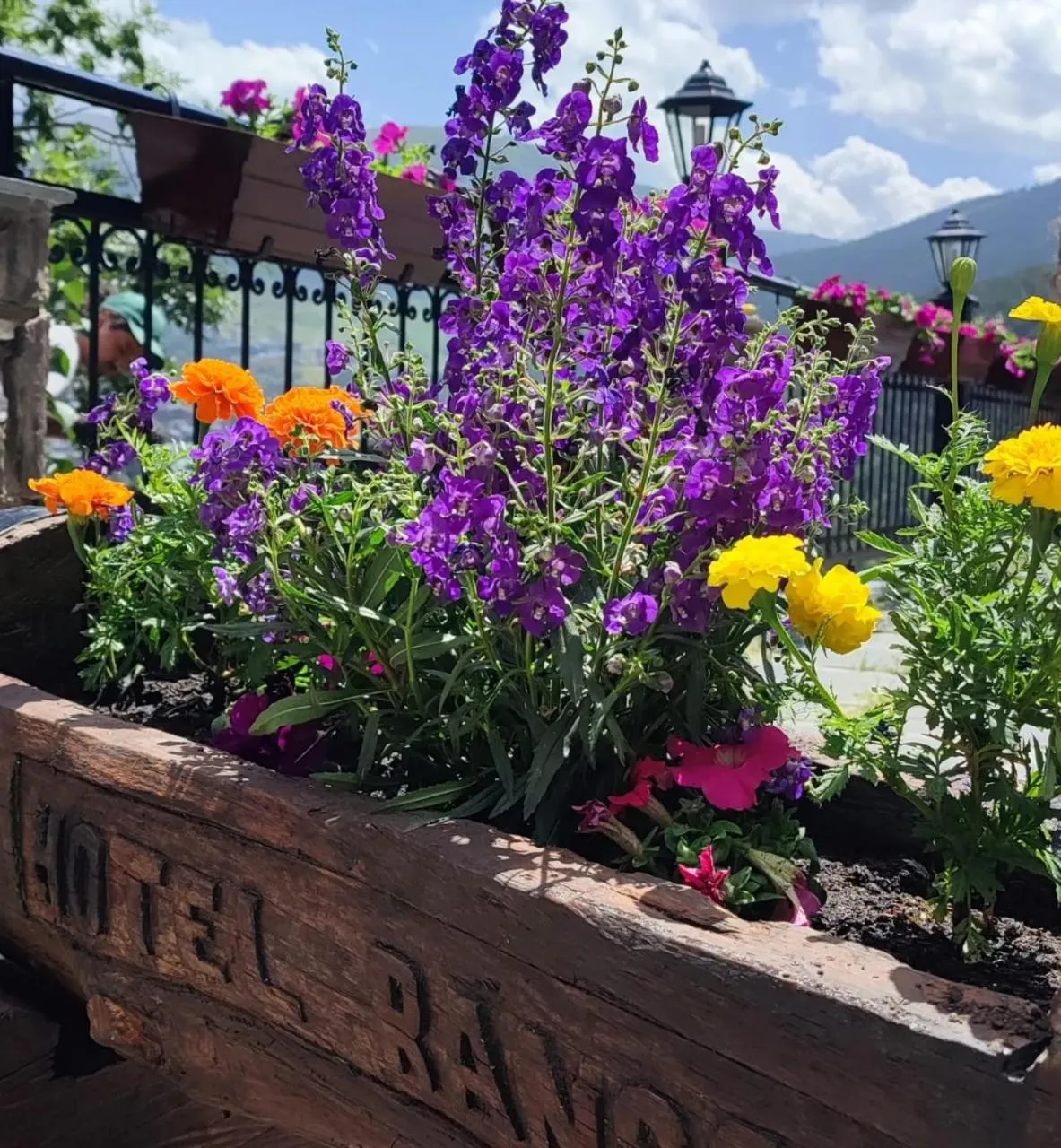 Garden in Hotel Ransol