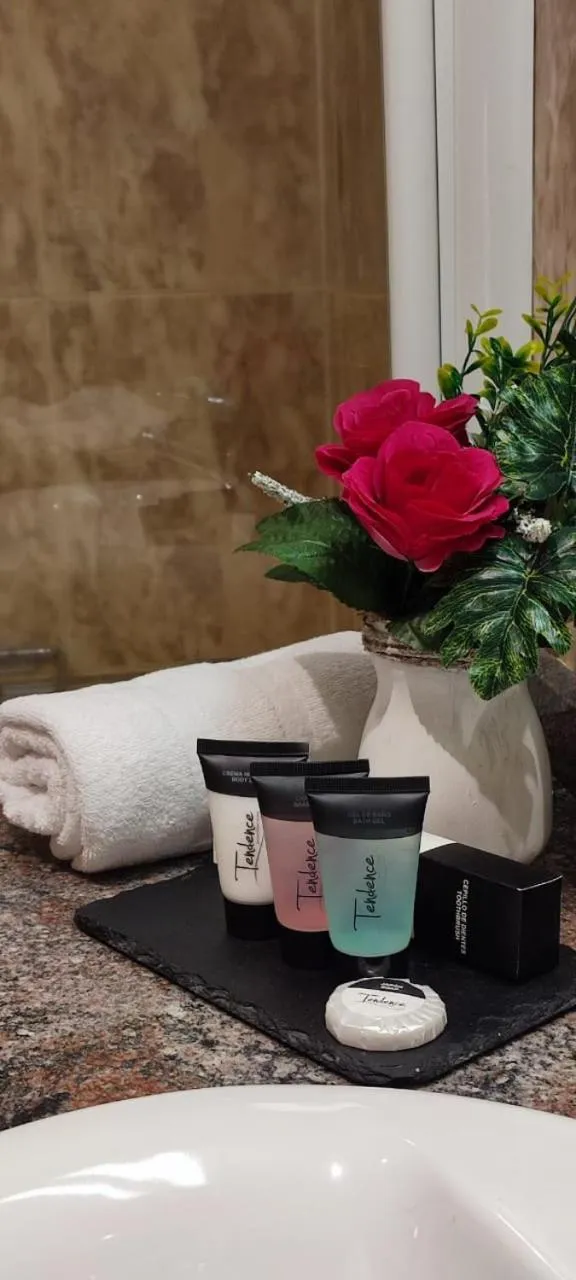 Toilet in Hotel Ransol