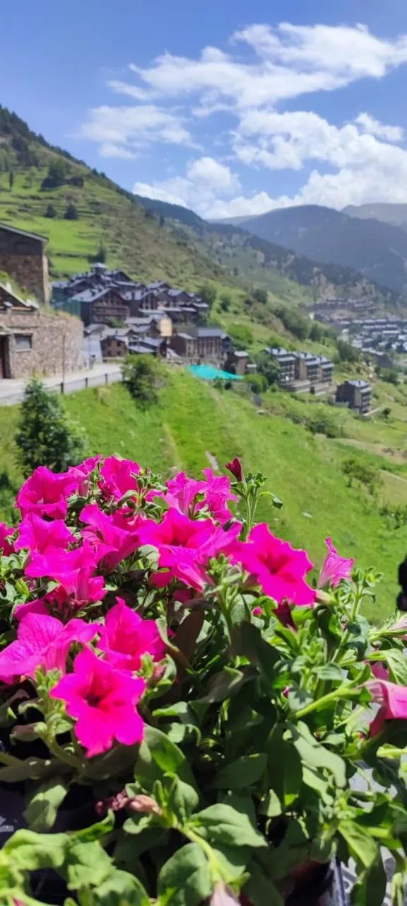 Natural landscape in Hotel Ransol