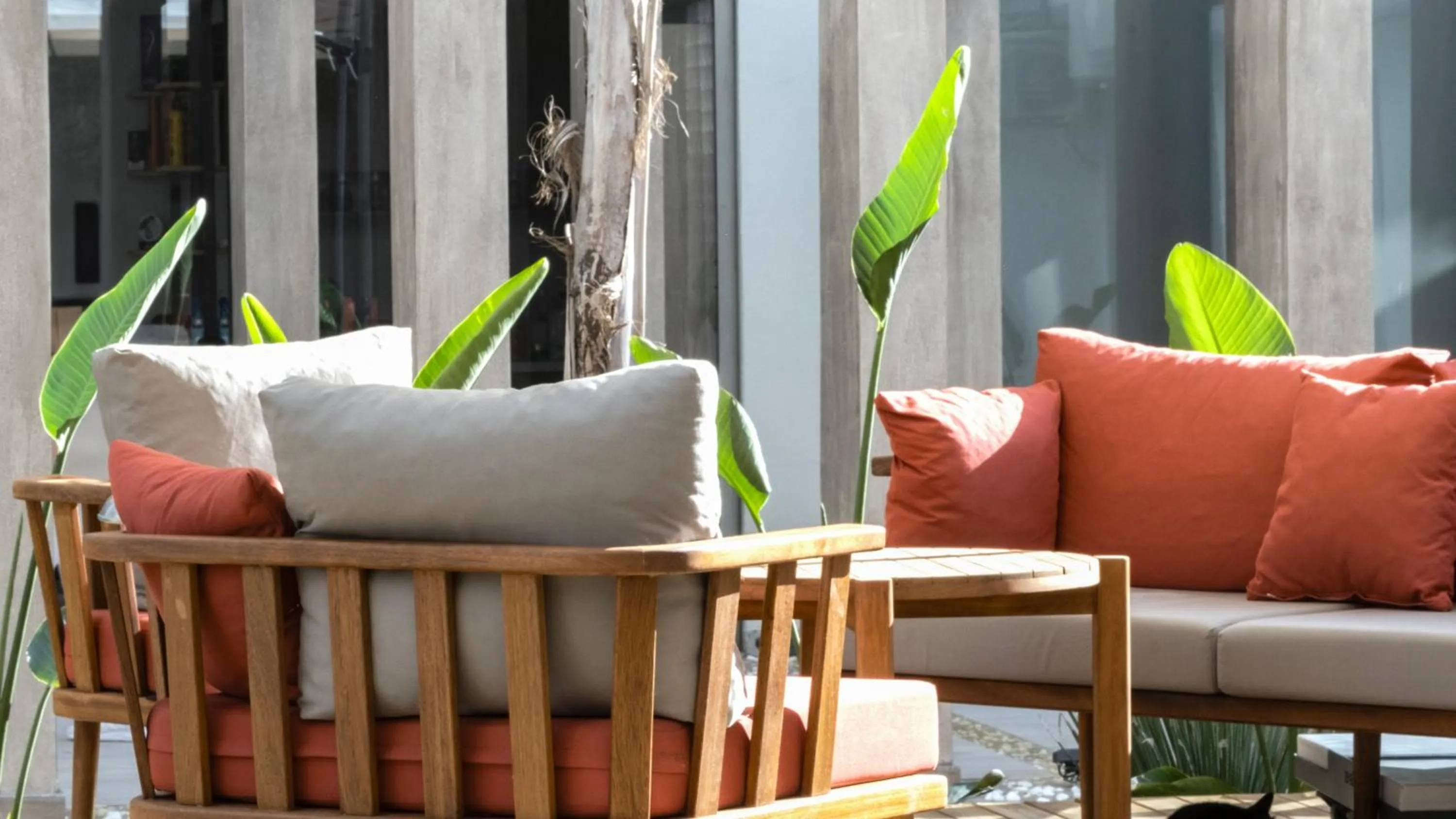 Garden in Kleopatra Dreams Beach Hotel