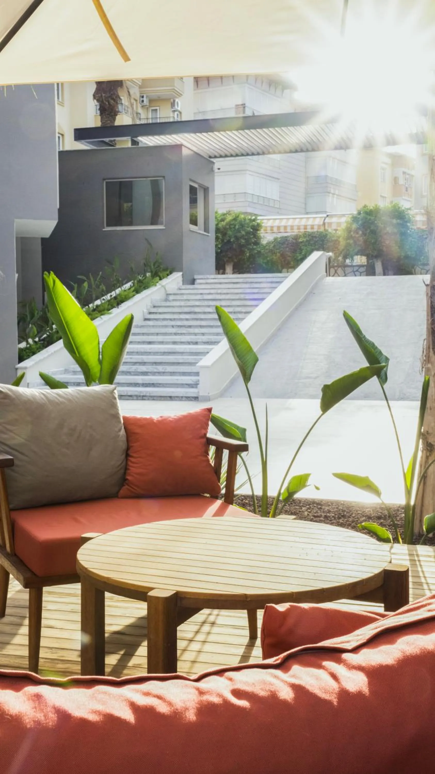 Garden in Kleopatra Dreams Beach Hotel