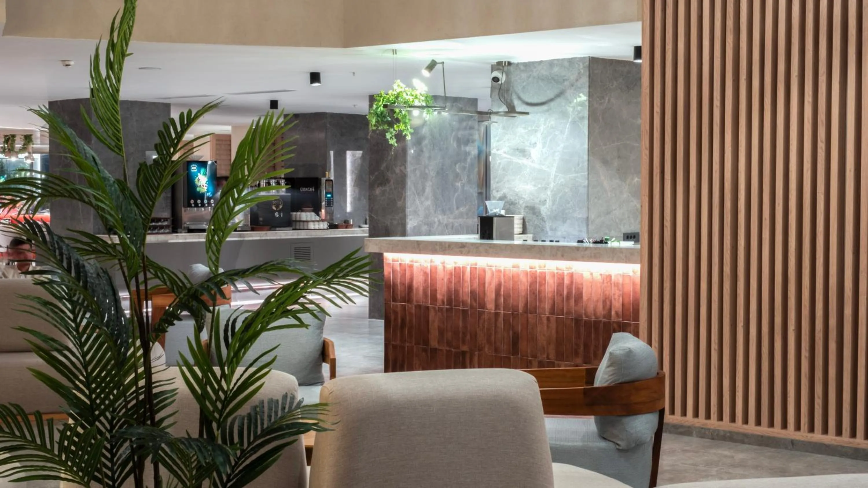 Restaurant/places to eat in Kleopatra Dreams Beach Hotel