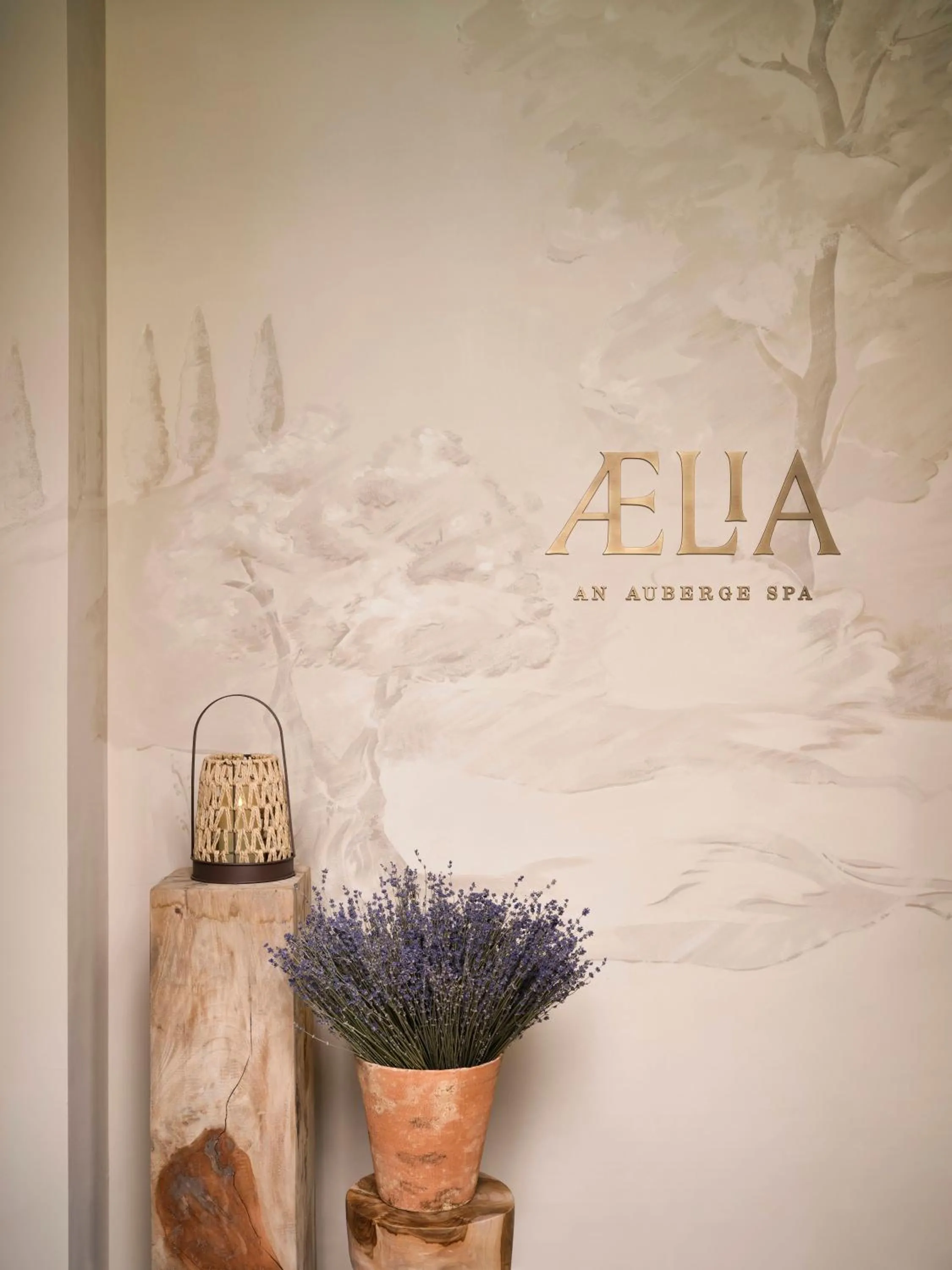 Spa and wellness centre/facilities in Collegio alla Querce, Auberge Collection