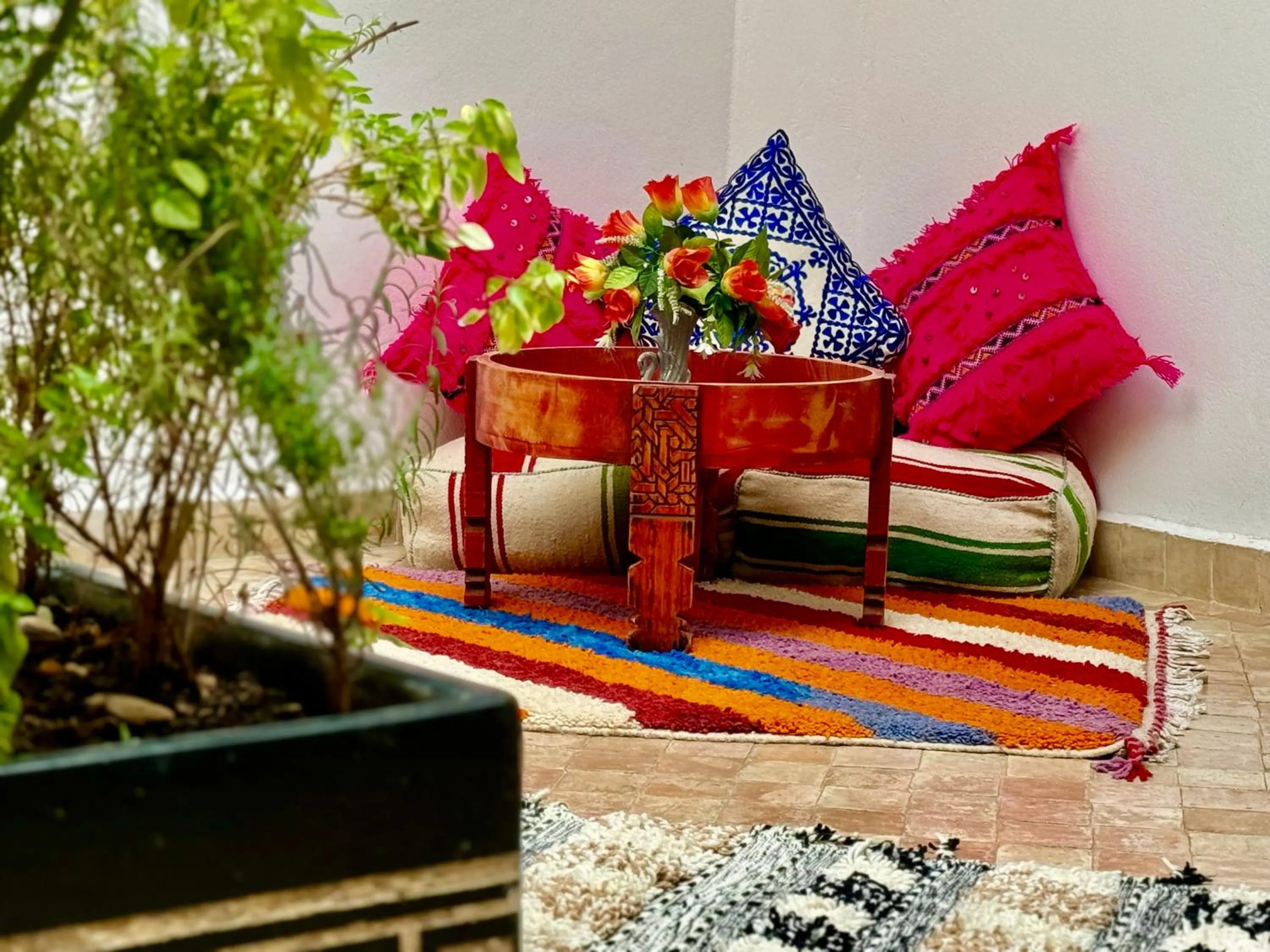 Garden in Riad Iklil