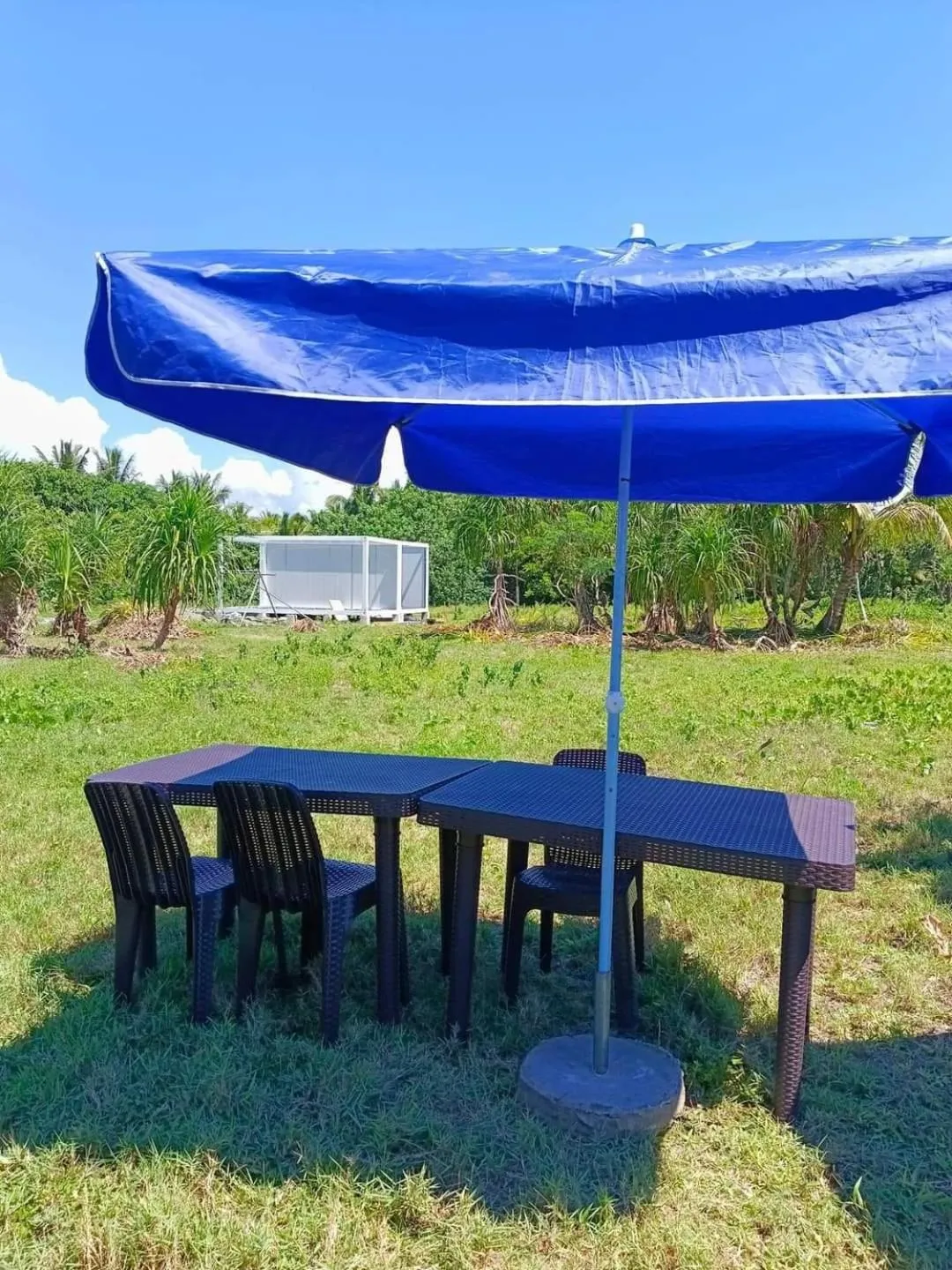 The Waves at Socorro Baler- Hotel A