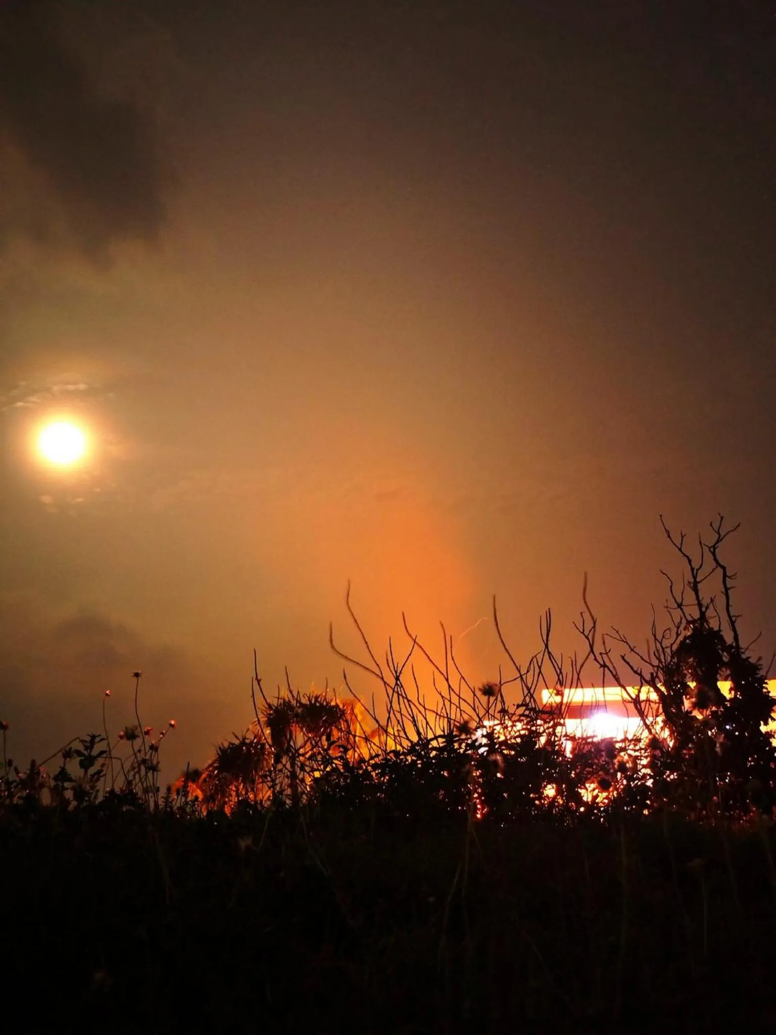 The Waves at Socorro Baler- Hotel A