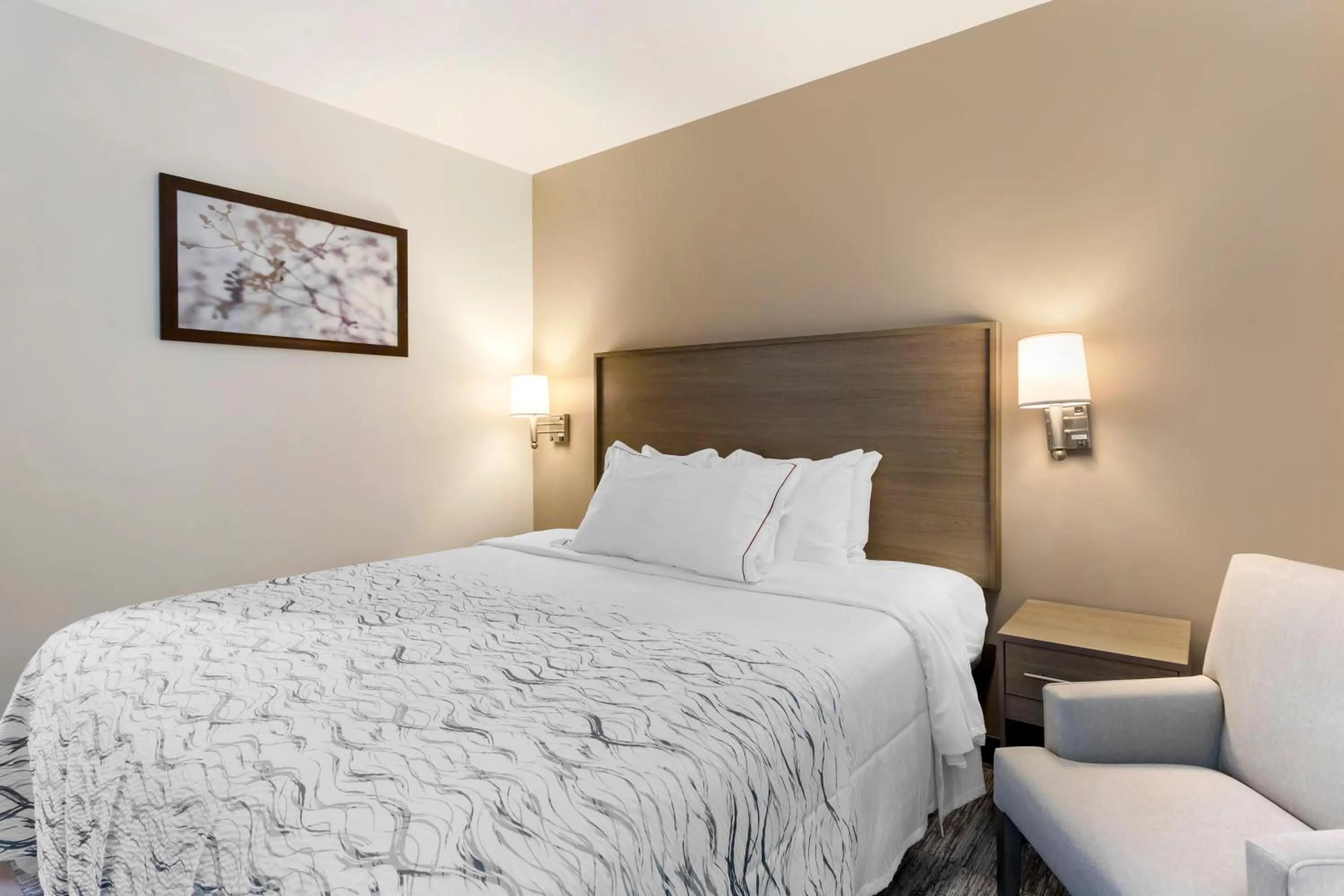 Bedroom, Bed in Red Roof Inn PLUS Jamaica, NY - JFK Airport