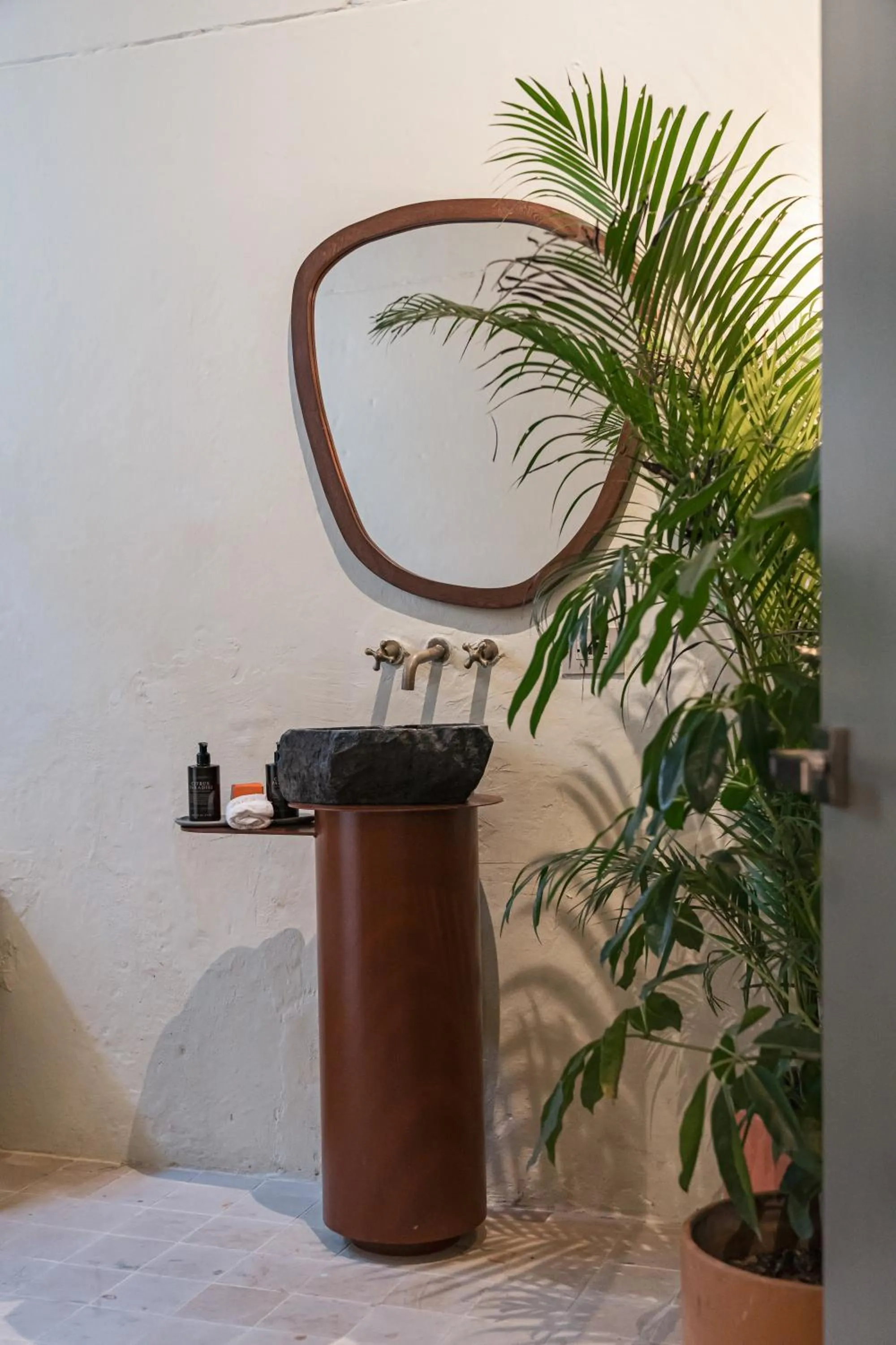 Toilet in Arde La Selva