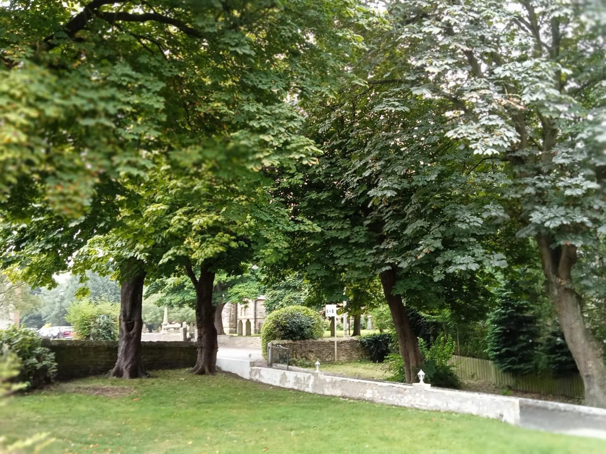 Natural landscape in Quarrie House