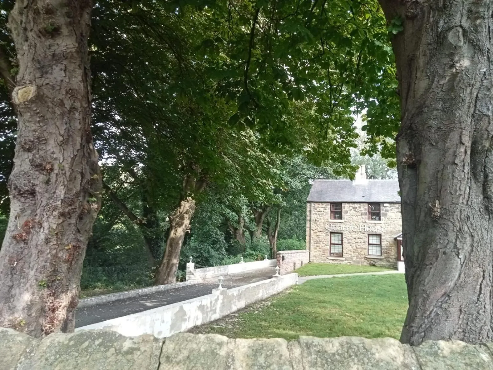 Garden in Quarrie House