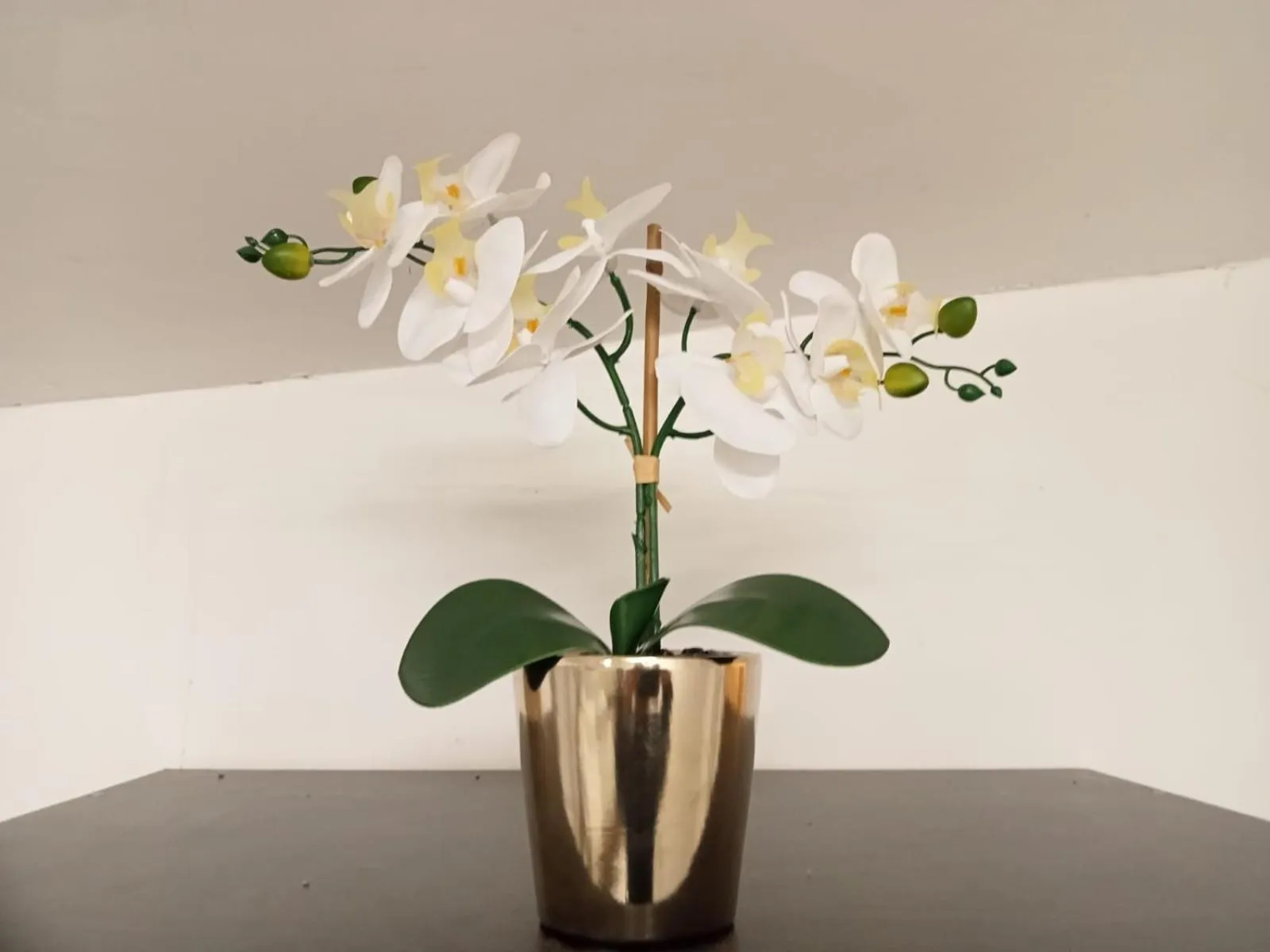 Decorative detail in Quarrie House