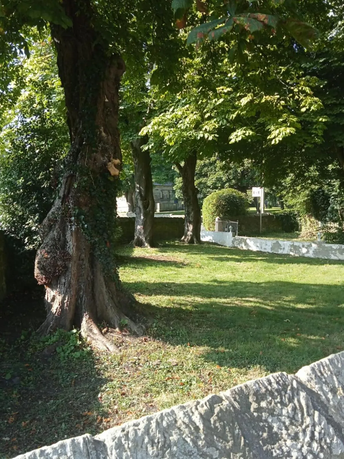 Garden in Quarrie House