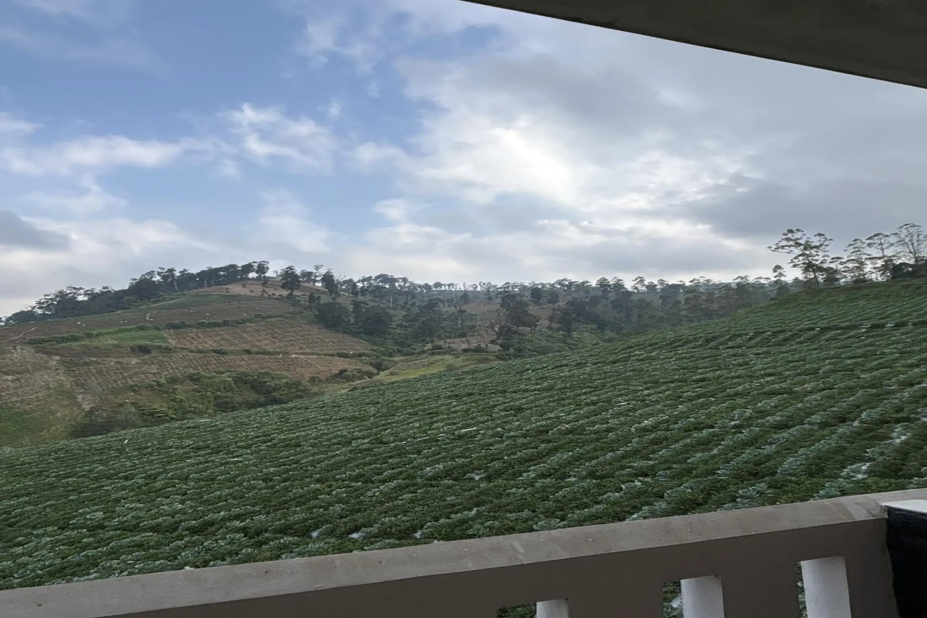 Mountain view in Puncak Darajat Highland Mountain view in Puncak Darajat Highland