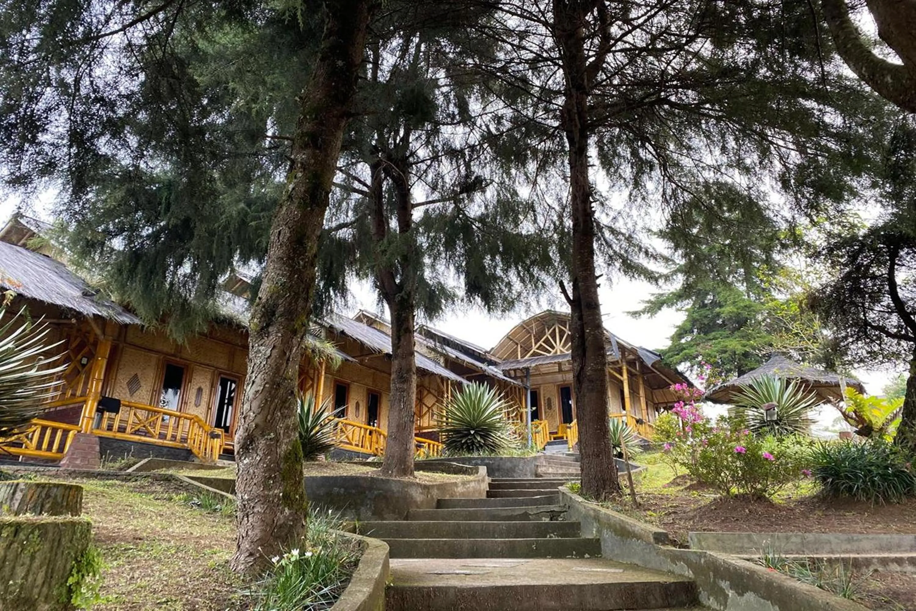 Property building in Puncak Darajat Highland