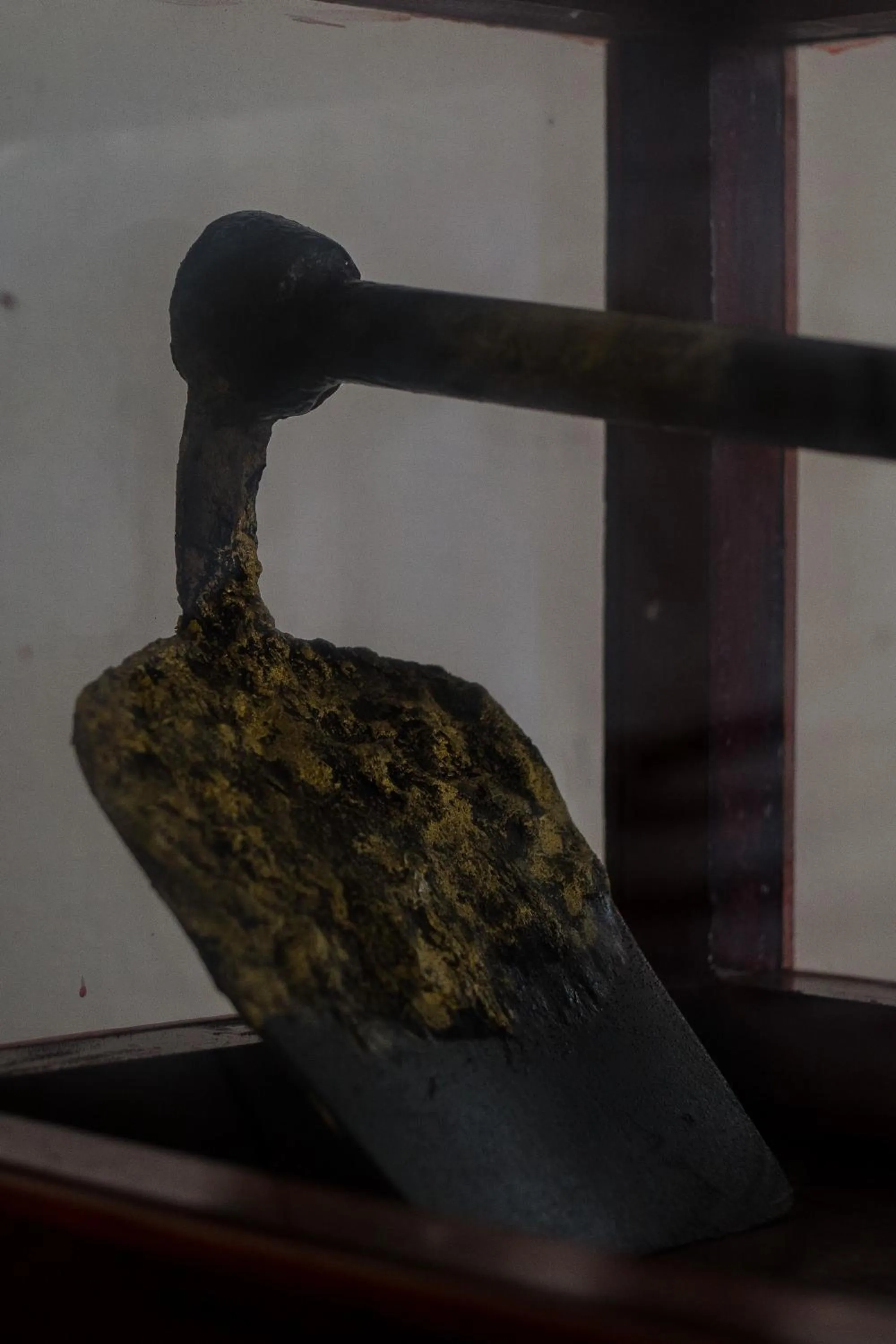 Area and facilities in Niyati - Boutique Stay