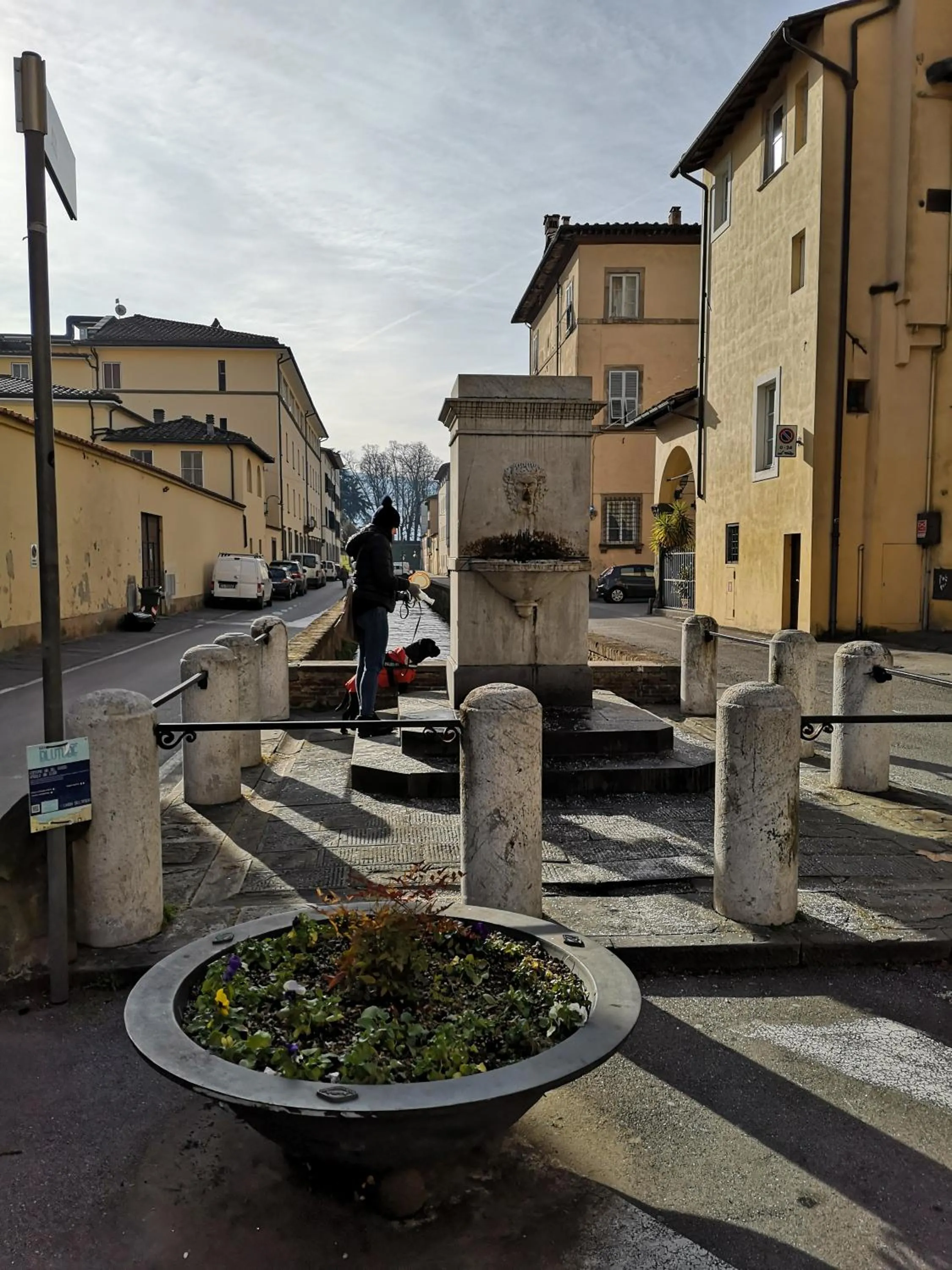 Domus Lucca