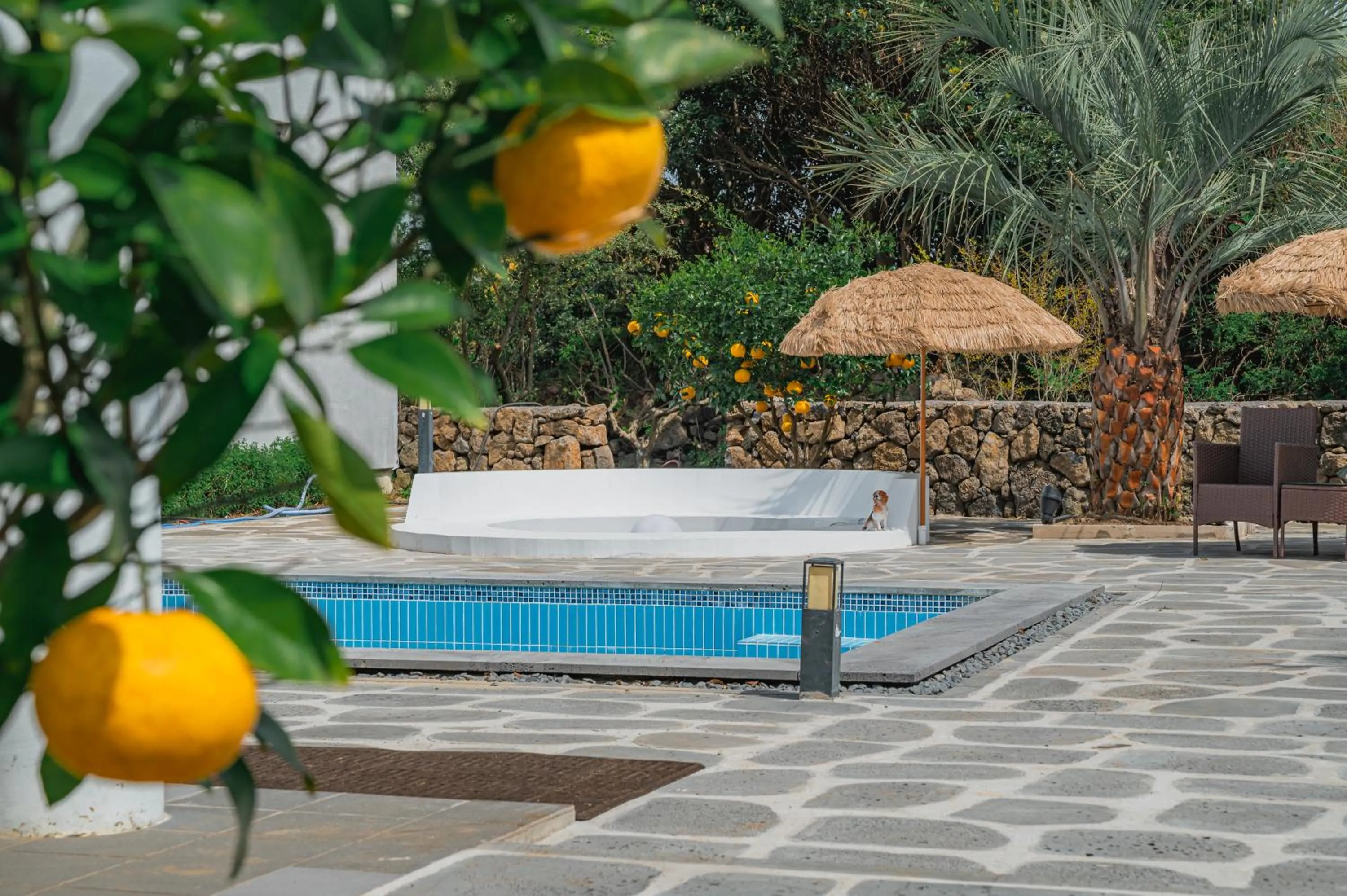 Swimming pool in Coogee Holiday