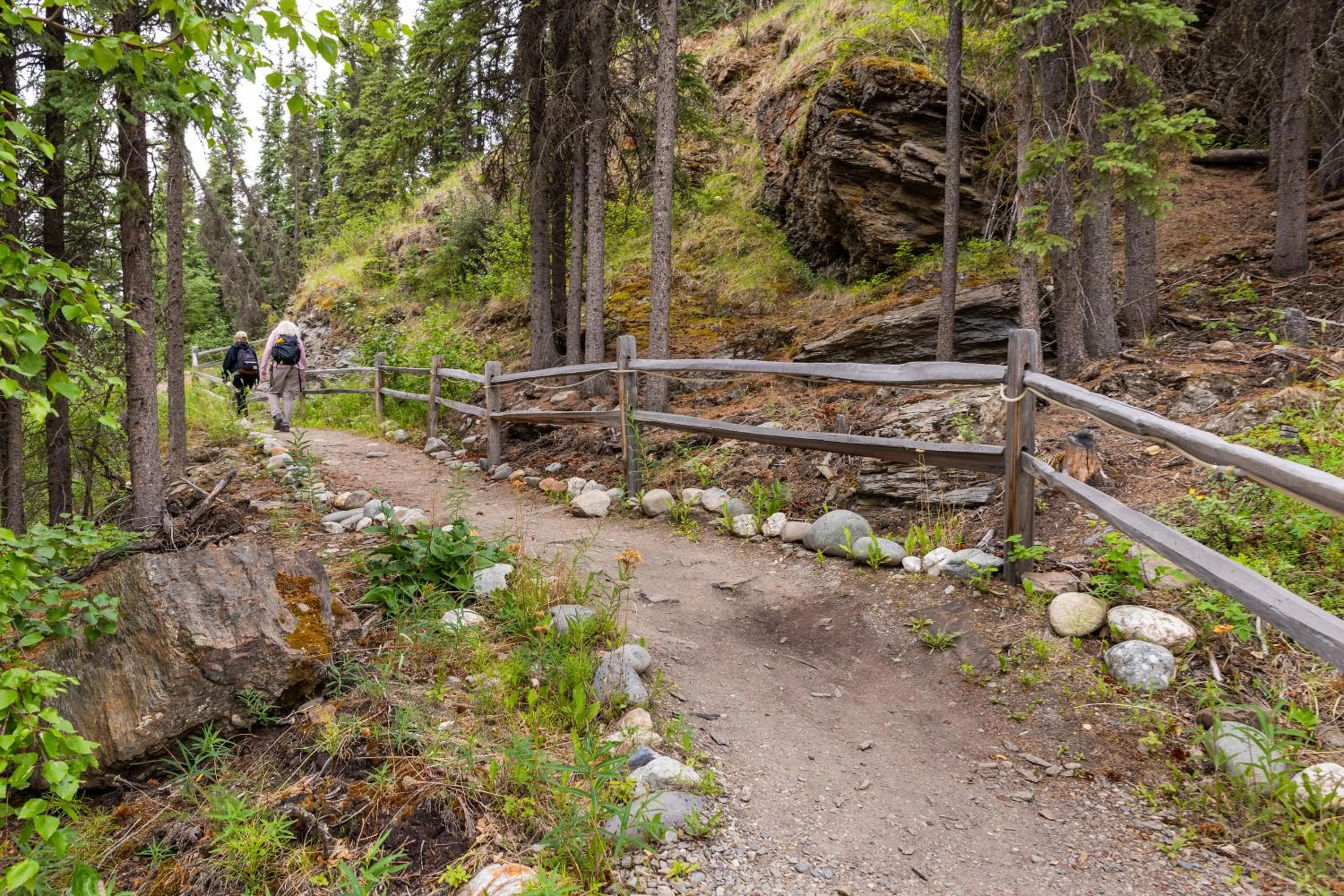 Natural landscape in Denali Crow's Nest Cabins