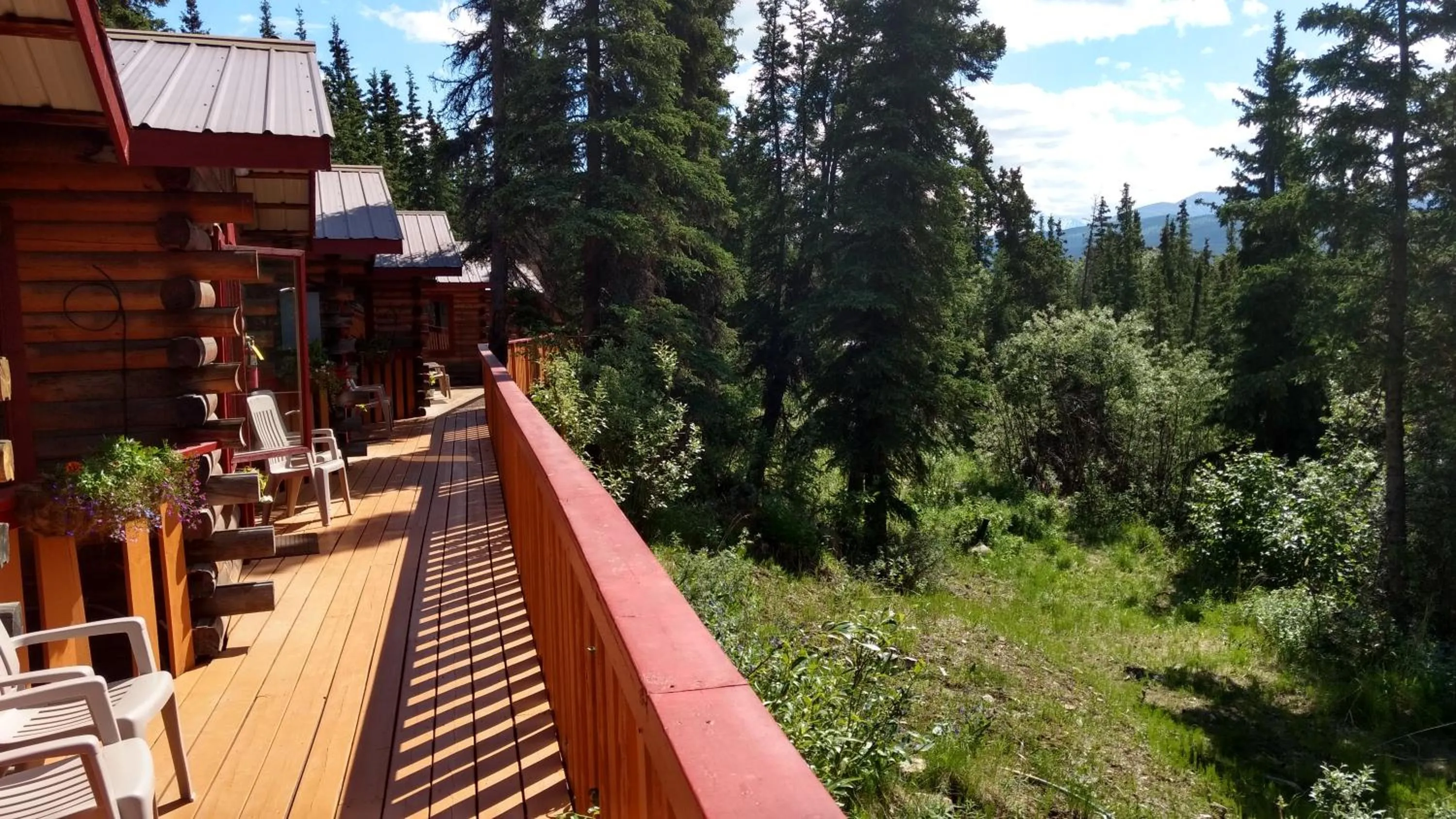 Mountain view in Denali Crow's Nest Cabins