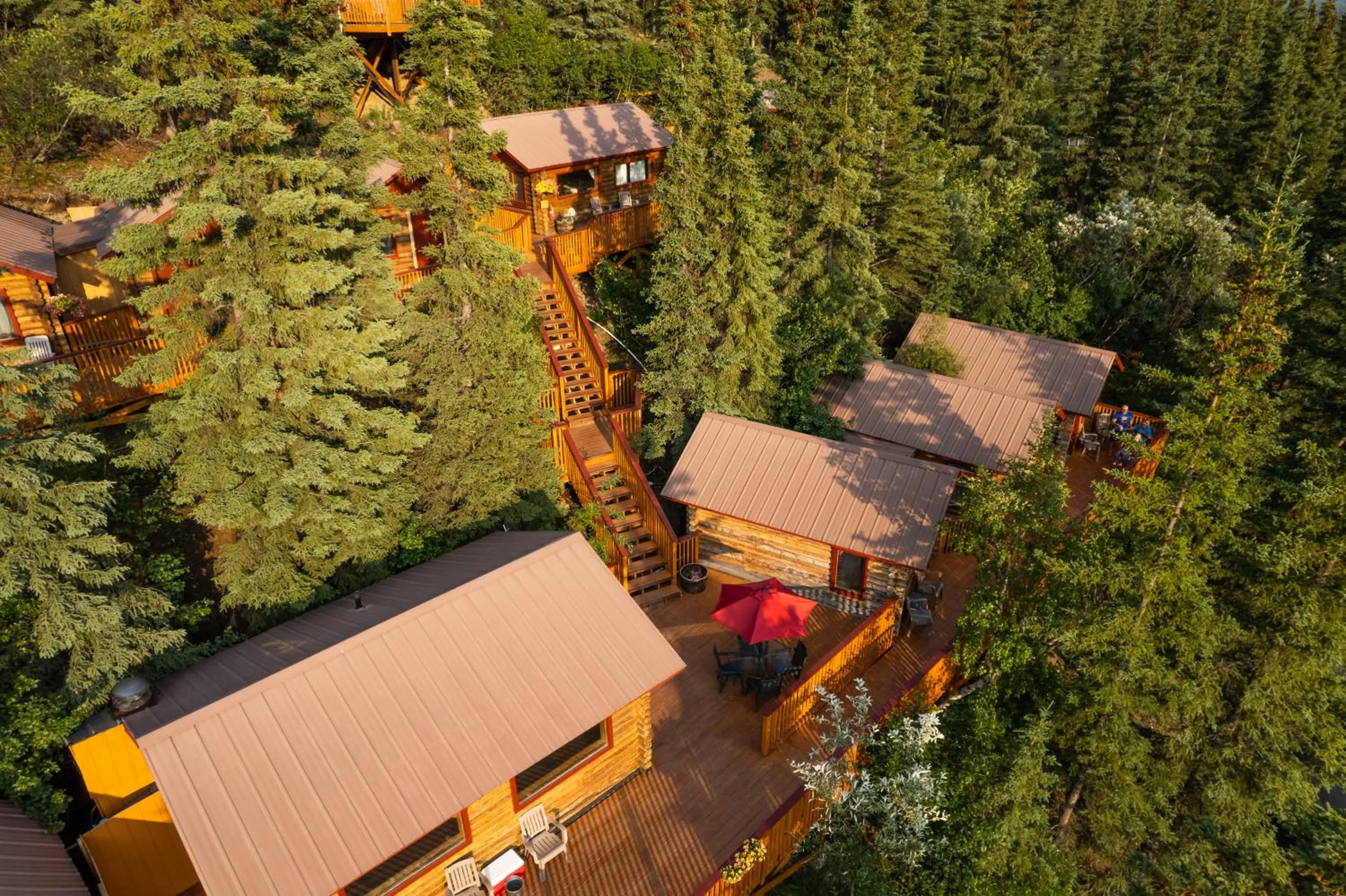 Property building in Denali Crow's Nest Cabins