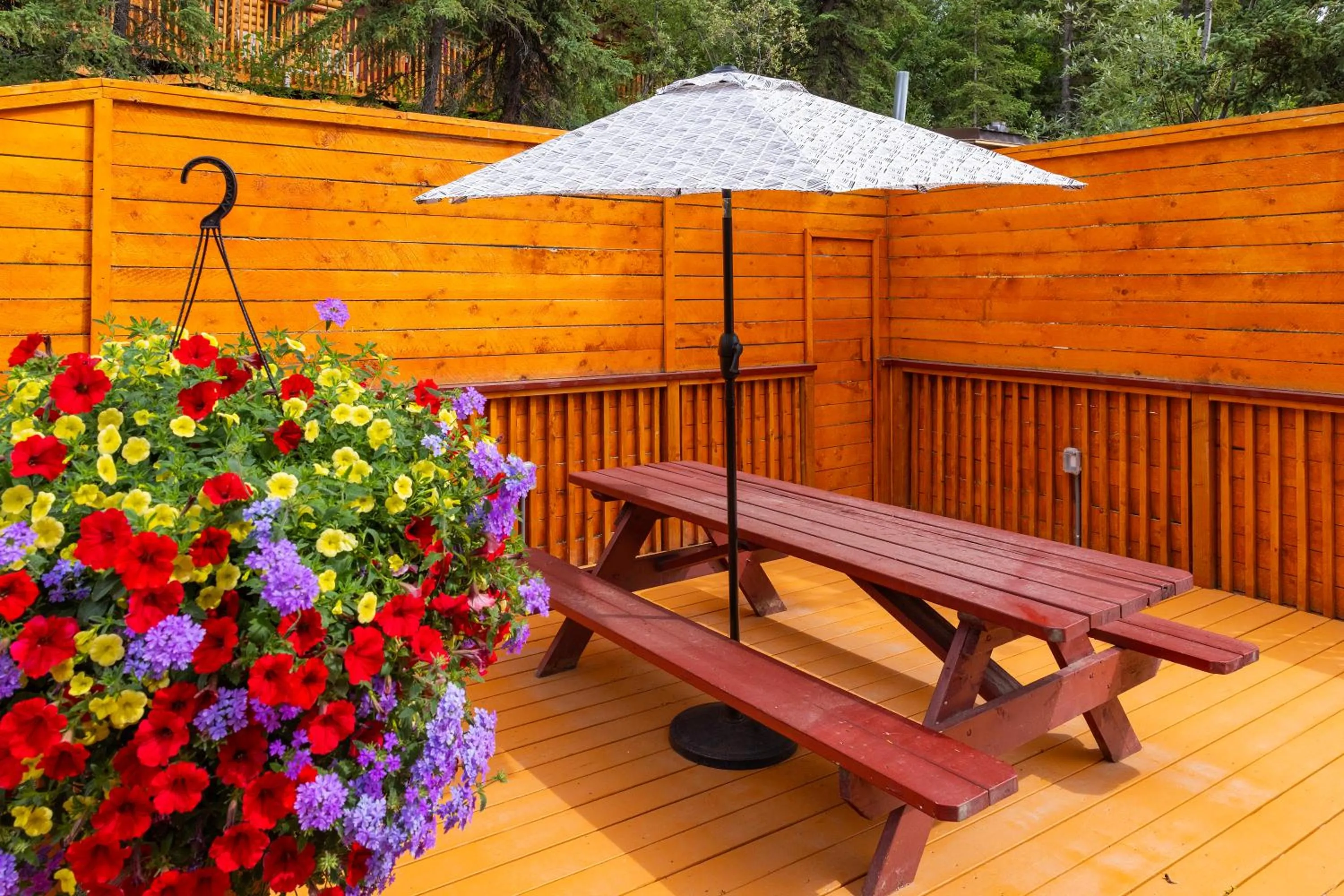 Area and facilities in Denali Crow's Nest Cabins