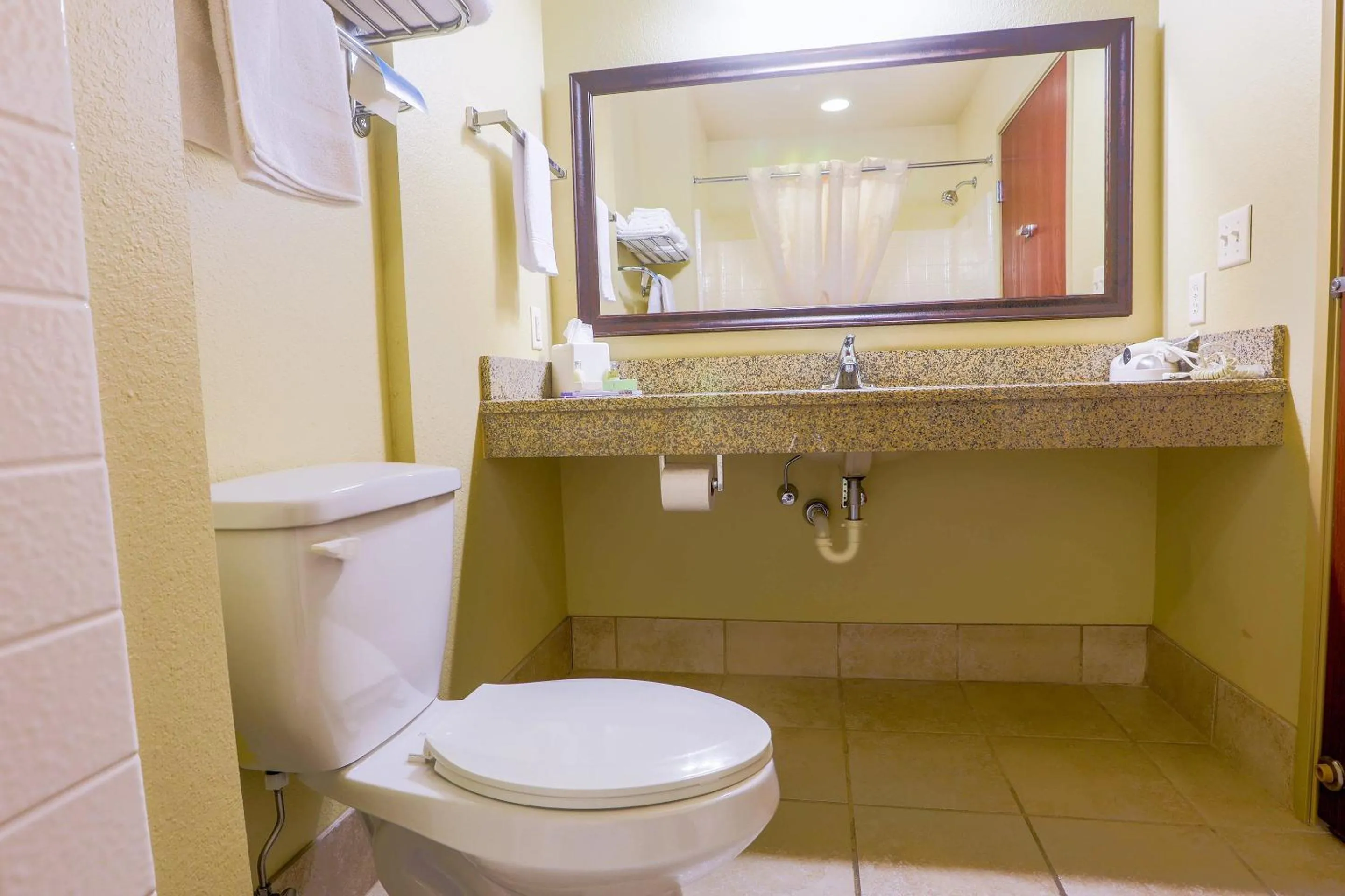 Bathroom in Evansville Inn & Suites by OYO