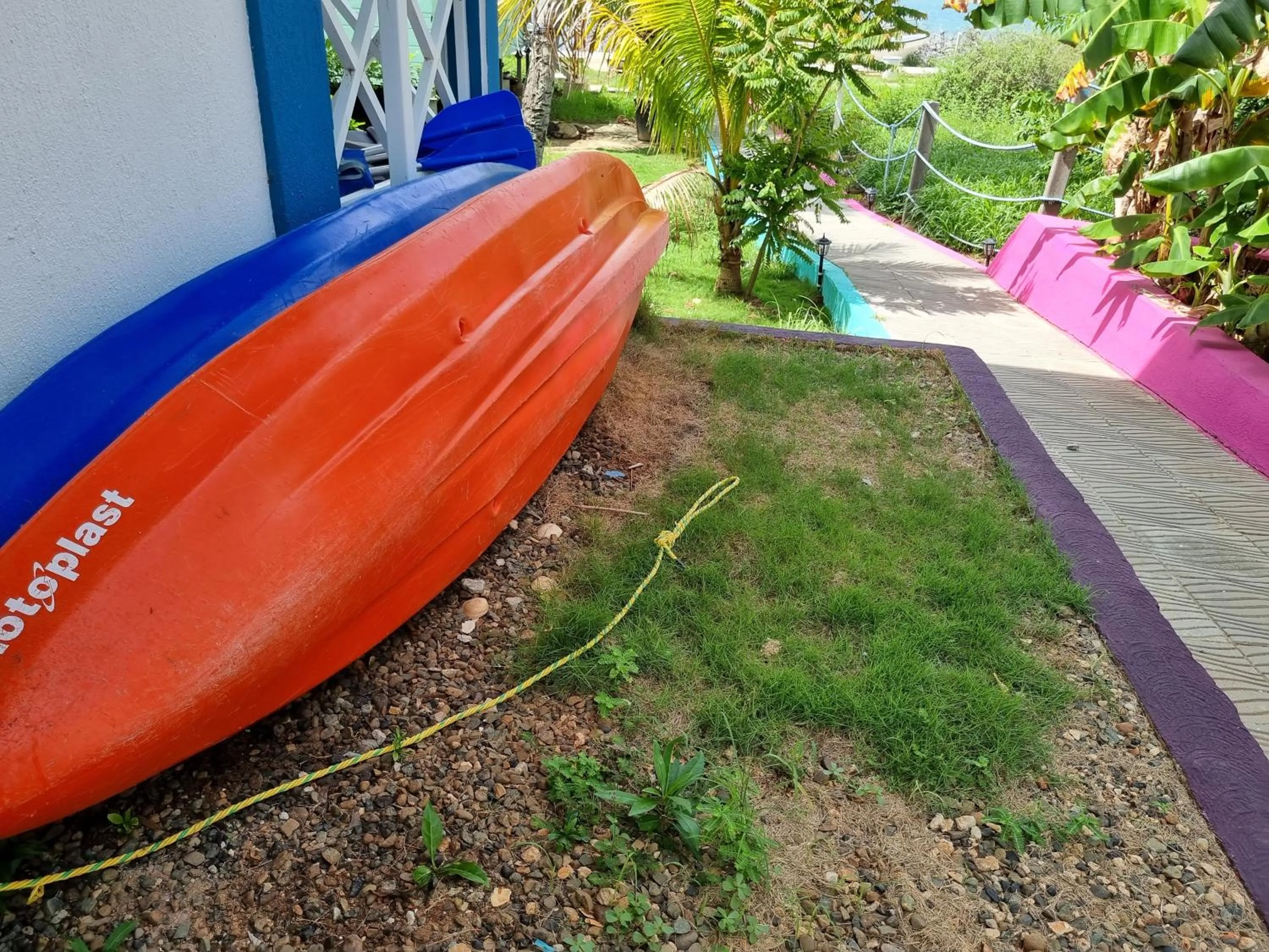 Garden view in Shell Sea B & B