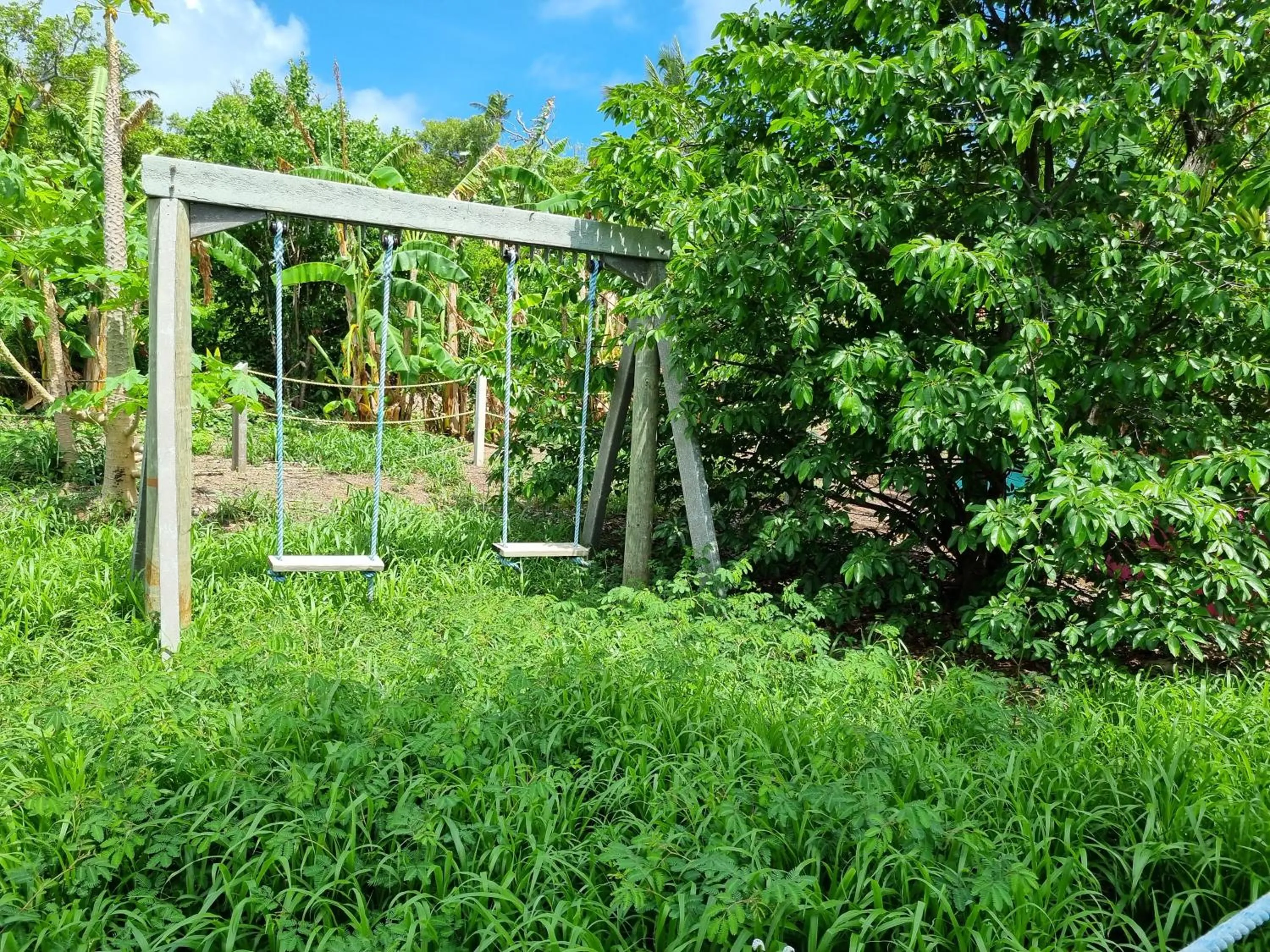 Garden view in Shell Sea B & B