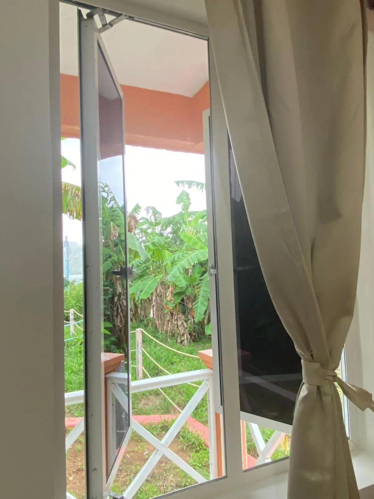 Garden view in Shell Sea B & B