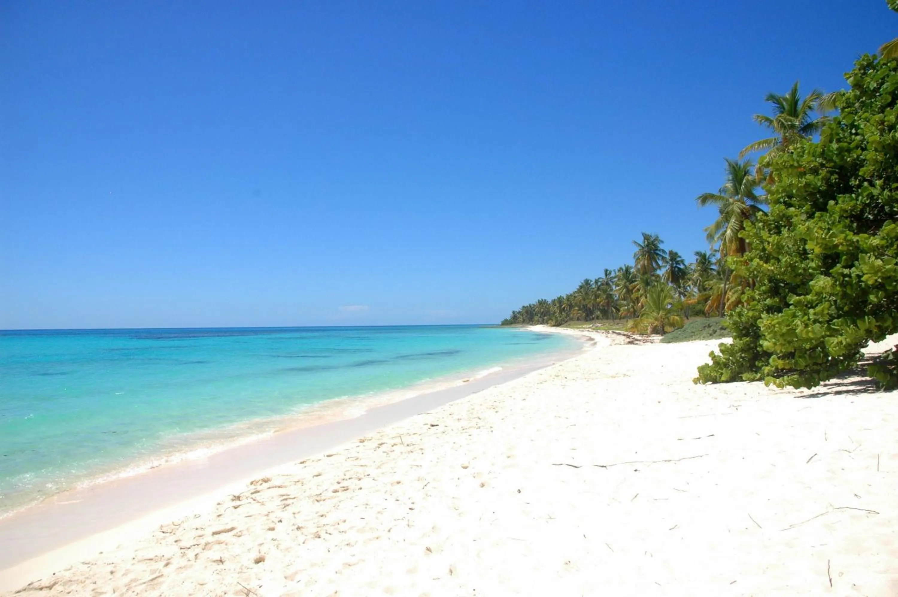Beach in Los Flamencos Aparthotel Beach Club