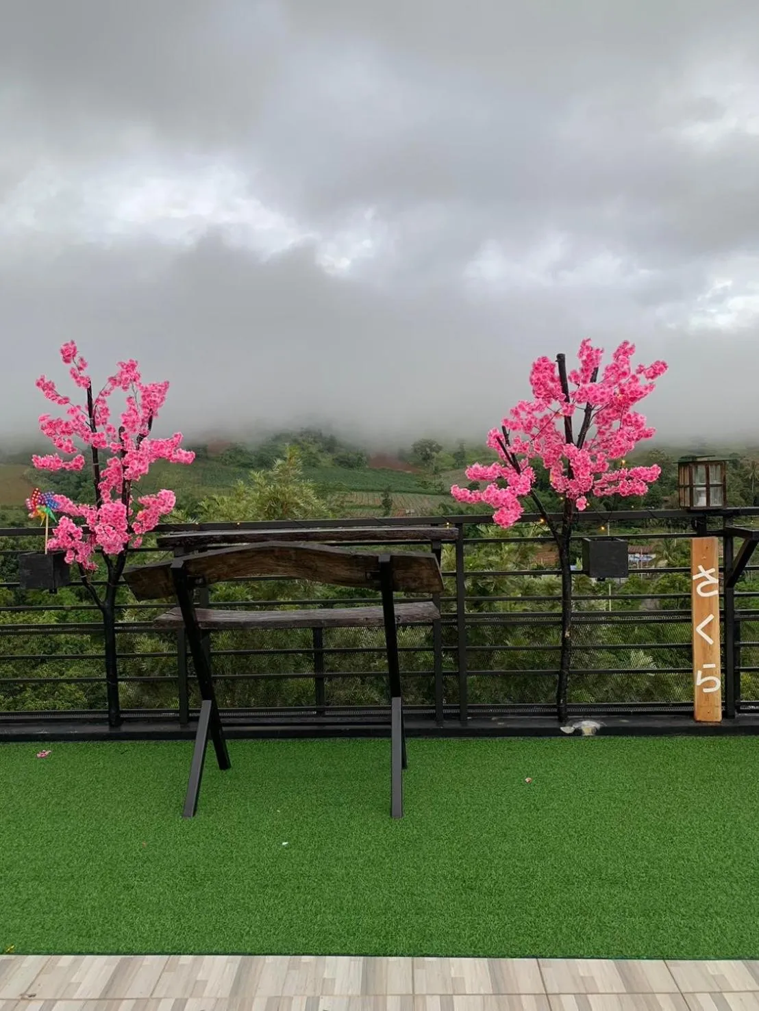 Natural landscape in Sakura Yama Resort ซากุระ ยามะรีสอร์ท
