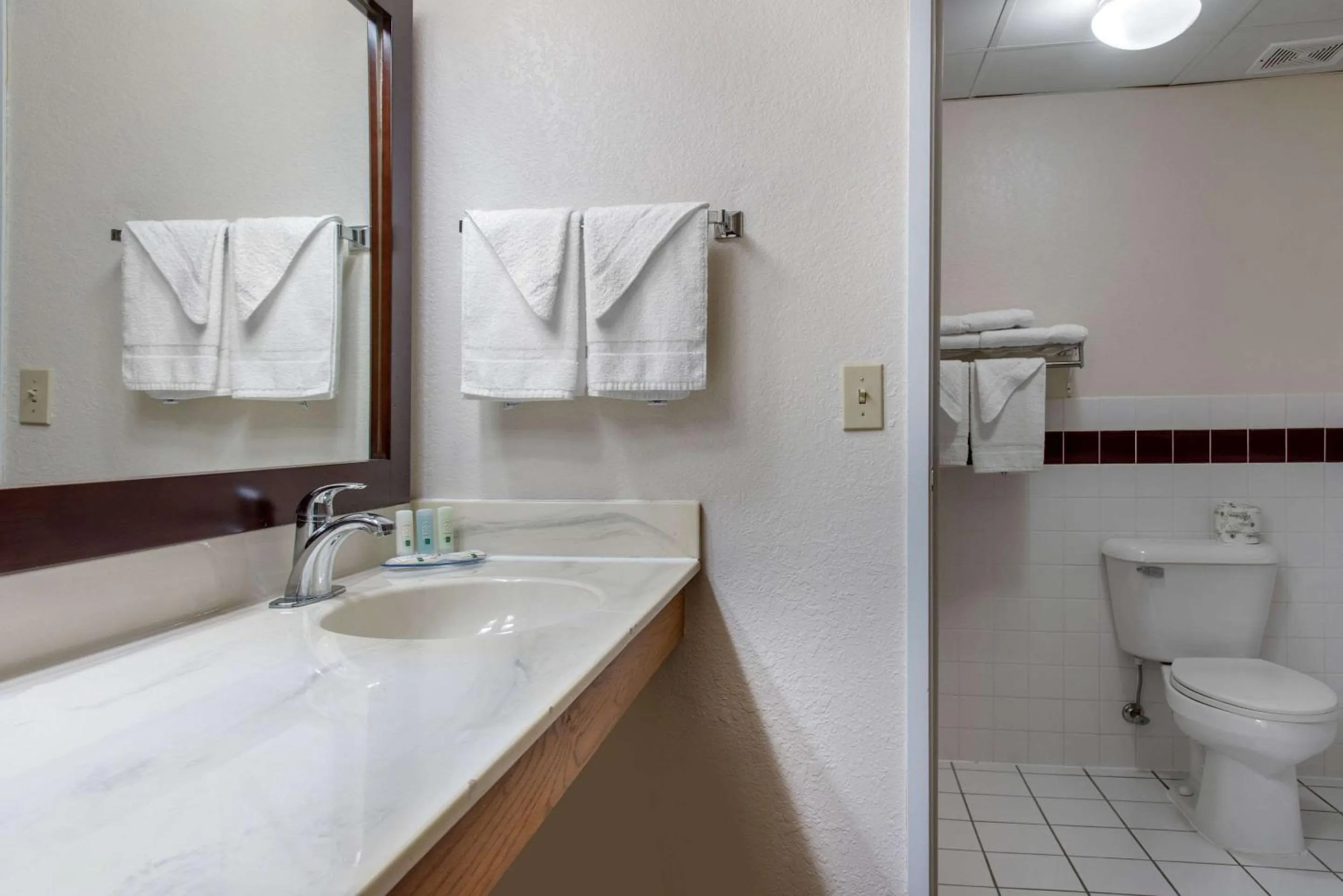Bathroom in New Prague Inn & Suites, New Prauge