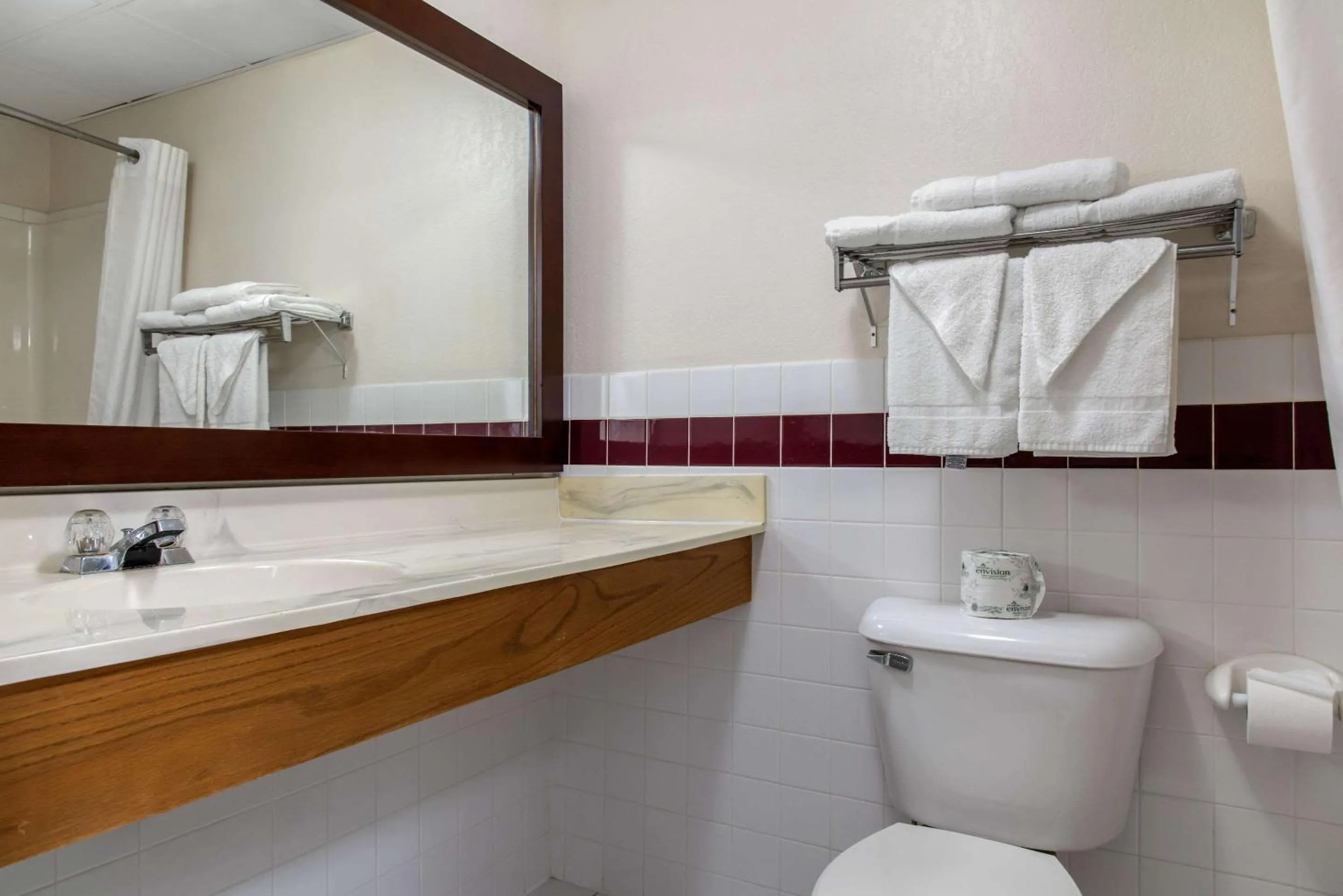Bathroom in New Prague Inn & Suites, New Prauge