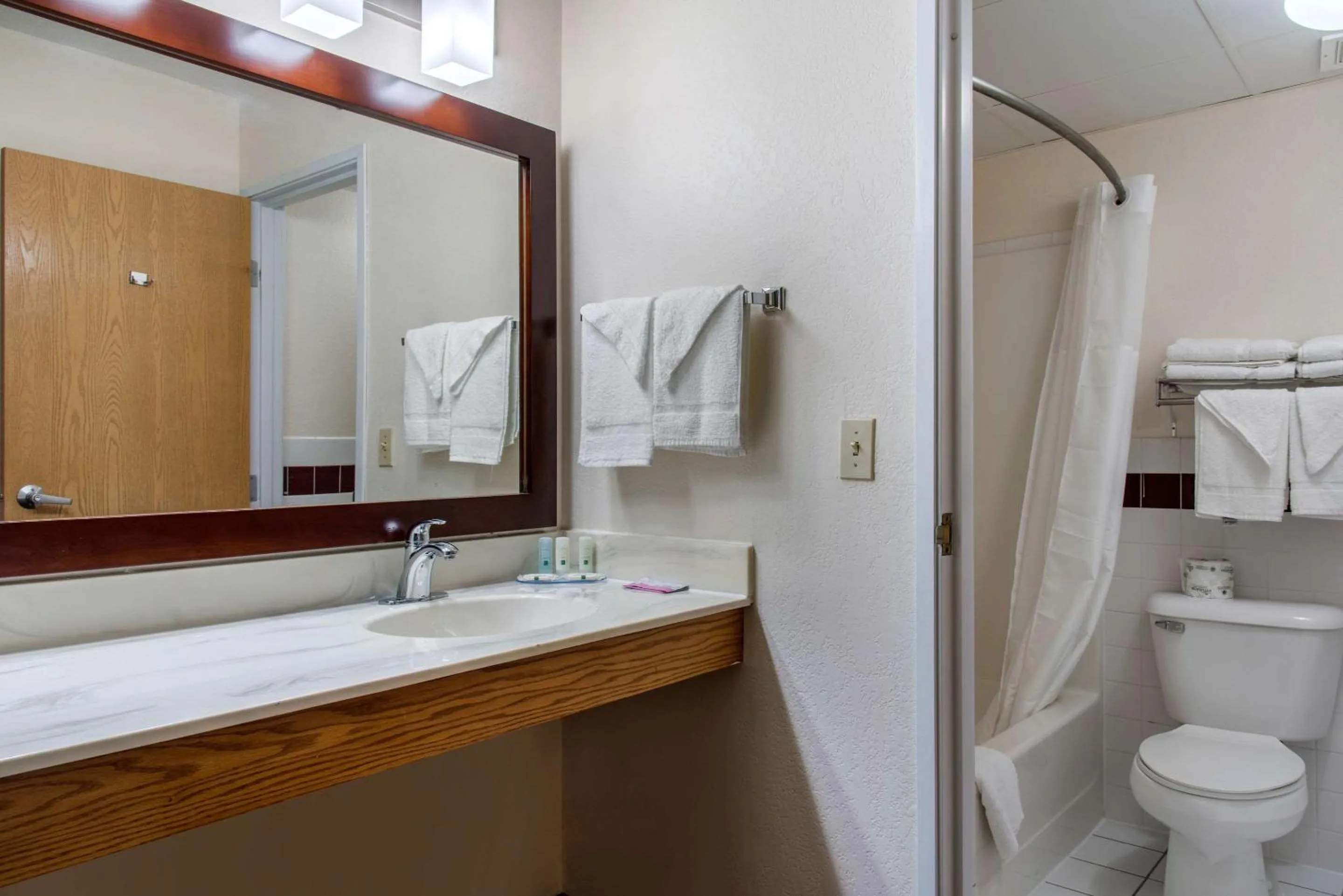 Bathroom in New Prague Inn & Suites, New Prauge