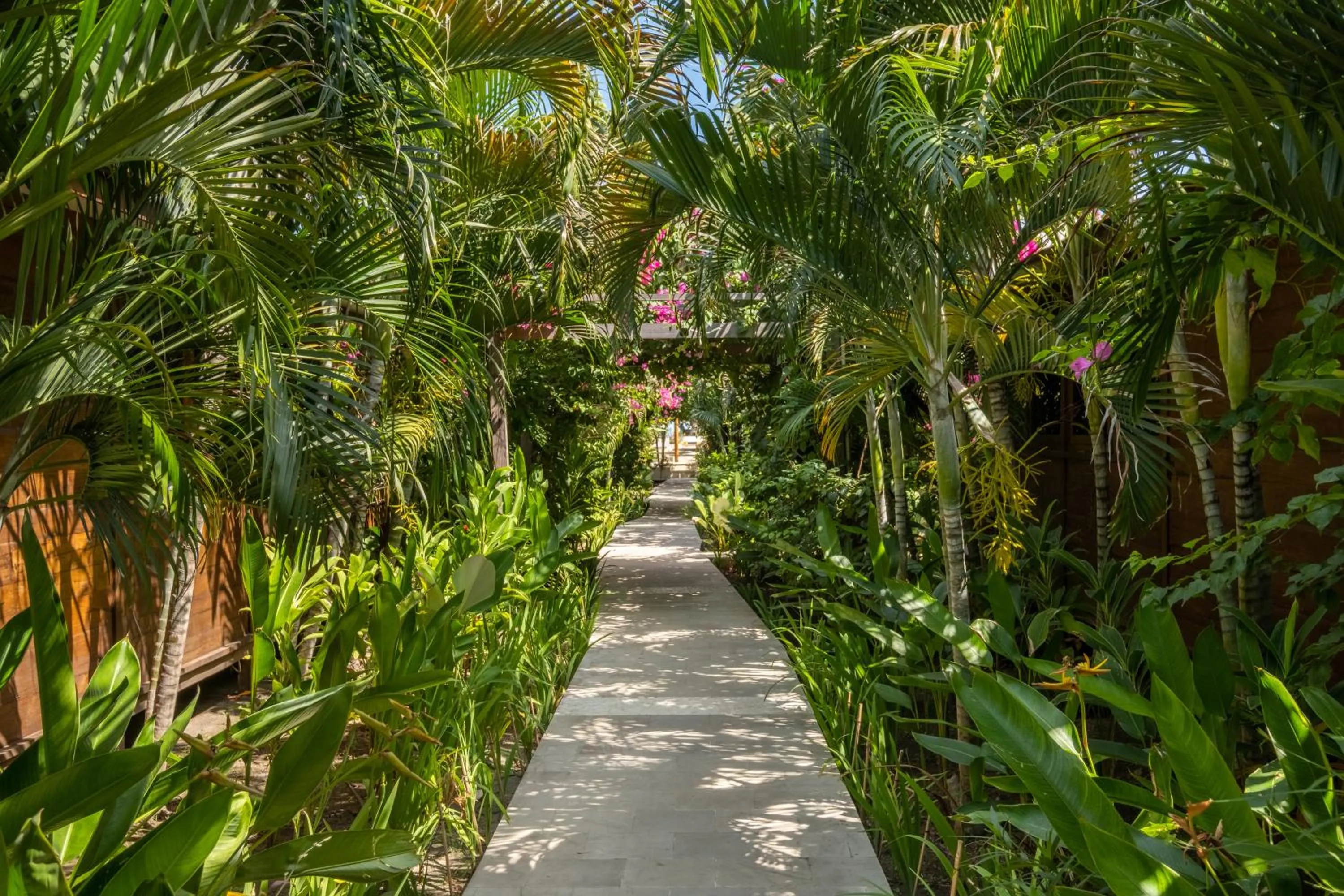 Garden in Gili Teak Beach Front Resort