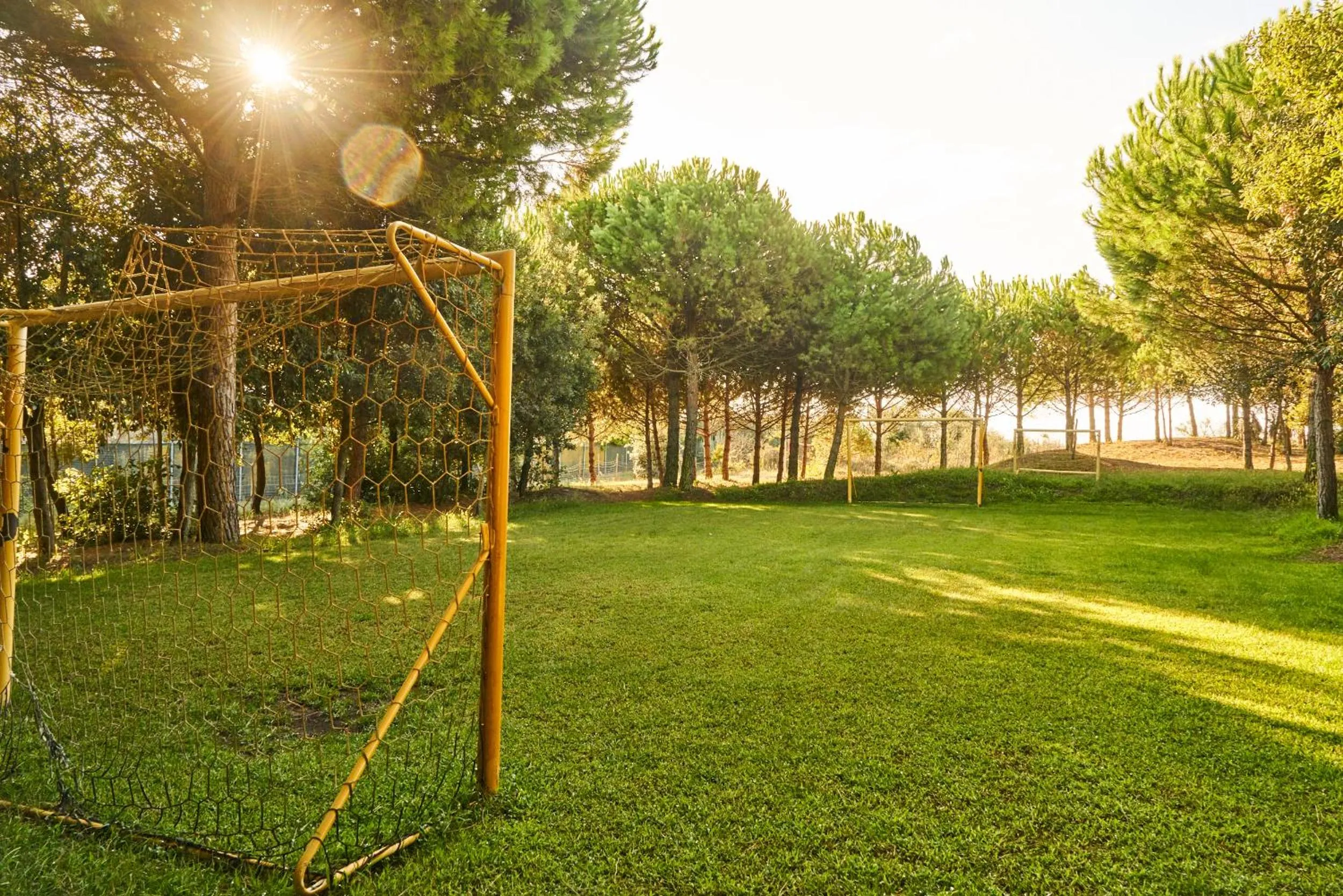 Day in Aparthotel La Pineta