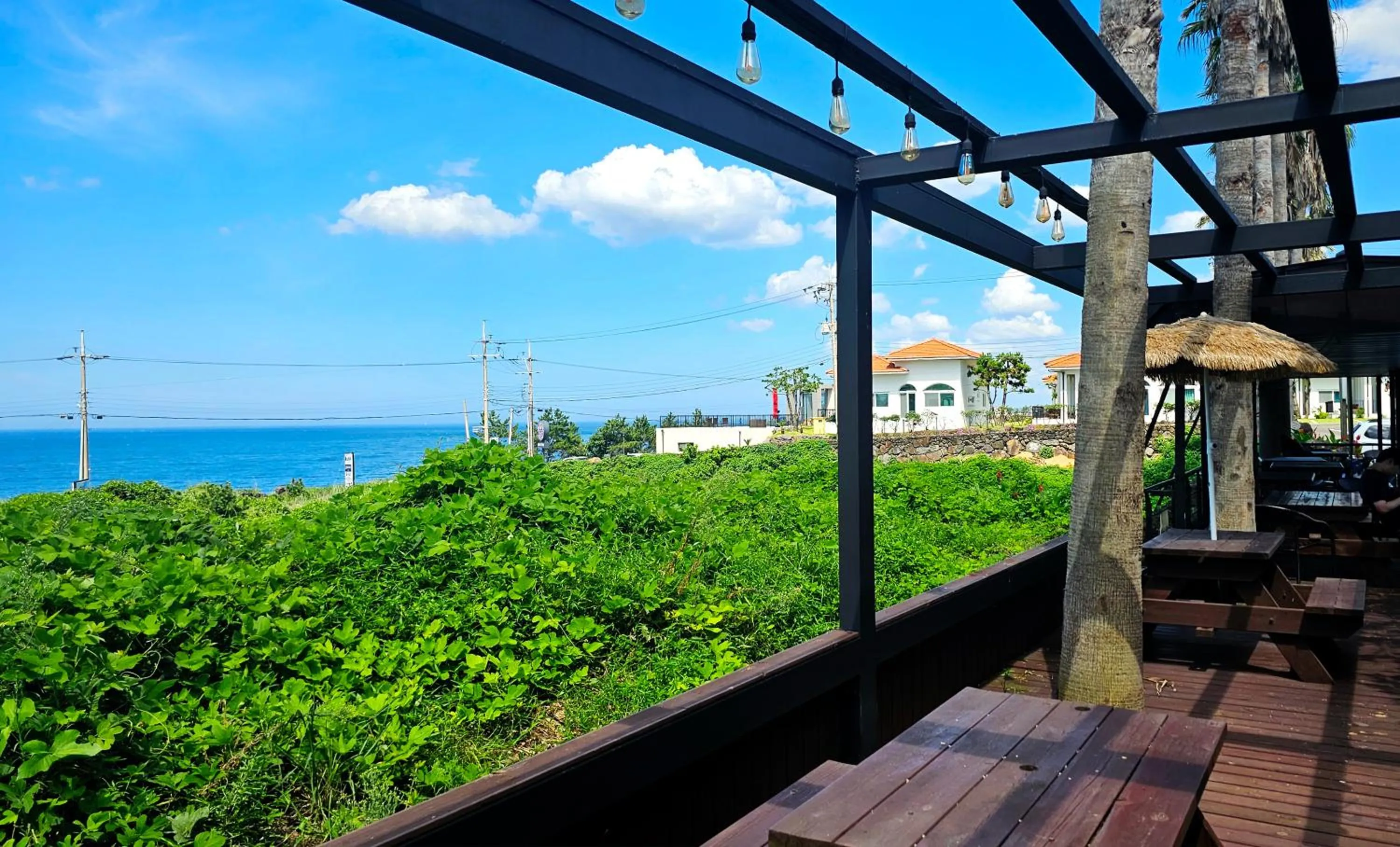 Balcony/Terrace in Benikea Hotel Jeju
