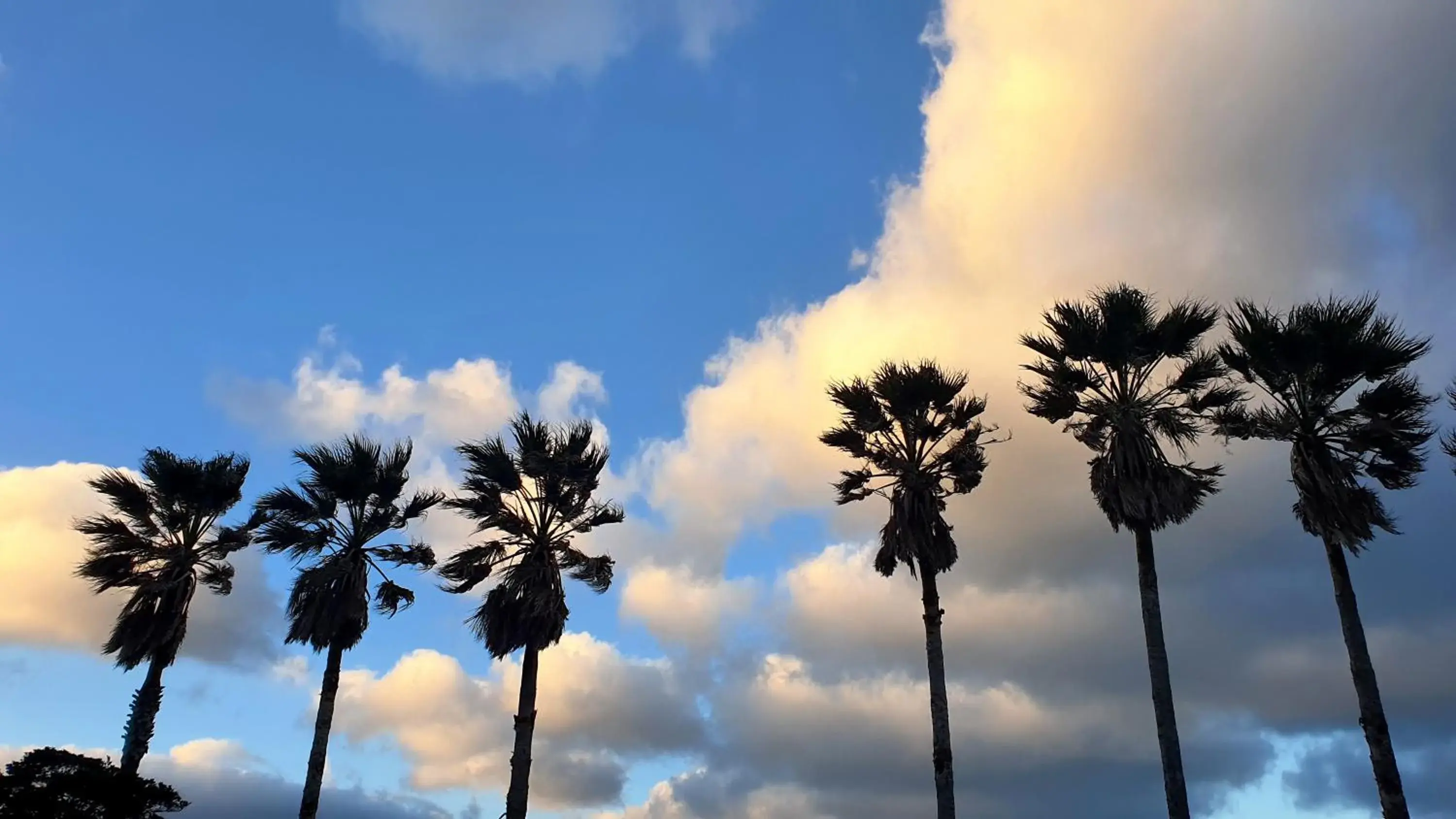 Property building in Benikea Hotel Jeju Property building in Benikea Hotel Jeju